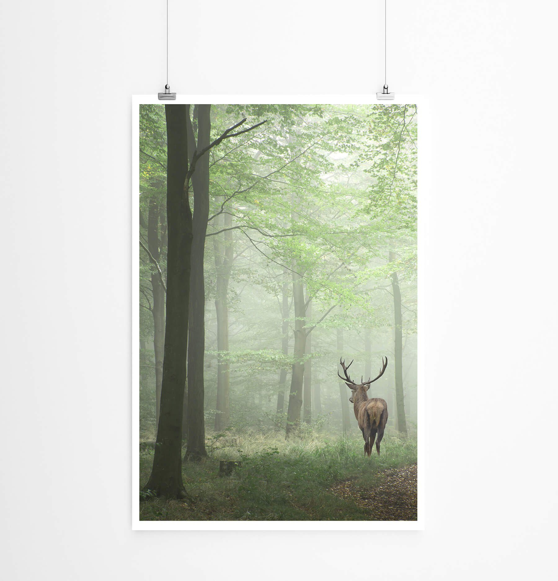 Sinus Art Poster 60x90cm Poster Landschaftsfotografie  Hirsch im Nebelwald