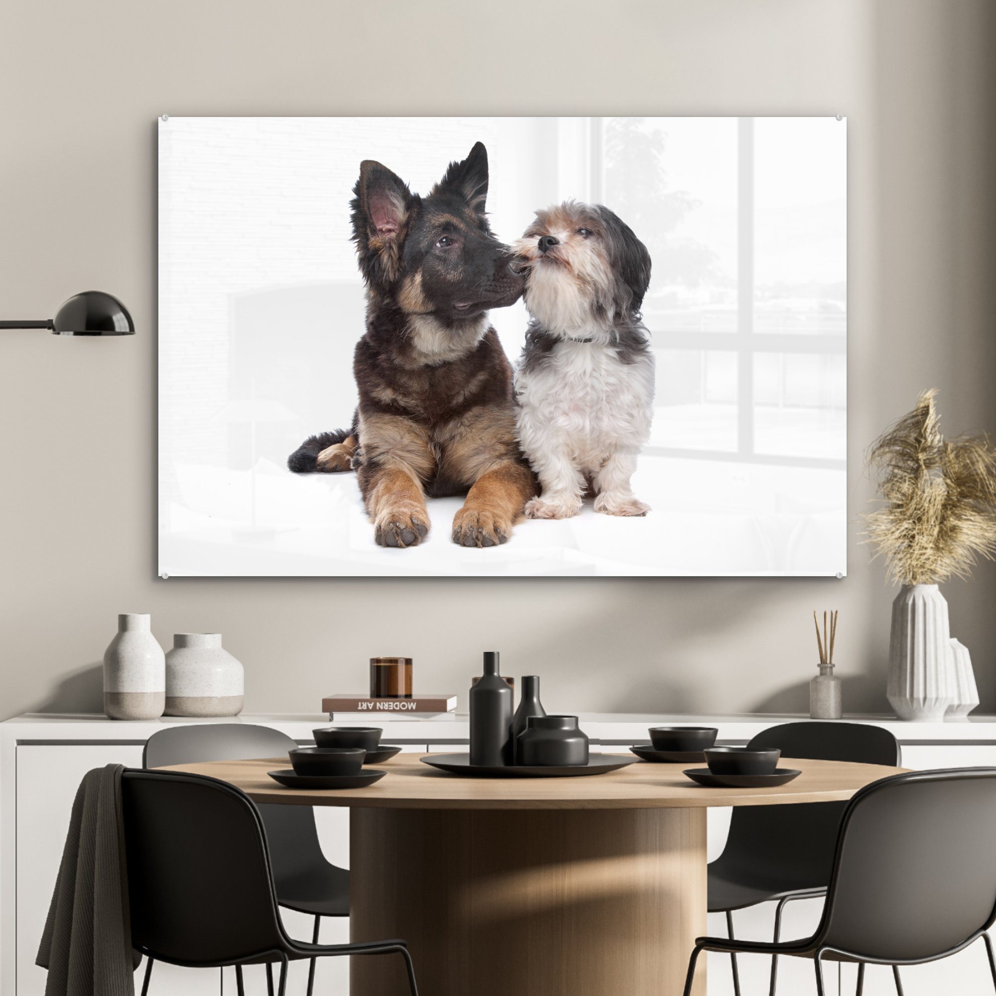einem & Acrylglasbilder Hund, Boomer anderen (1 St), Schlafzimmer Wohnzimmer MuchoWow mit Acrylglasbild