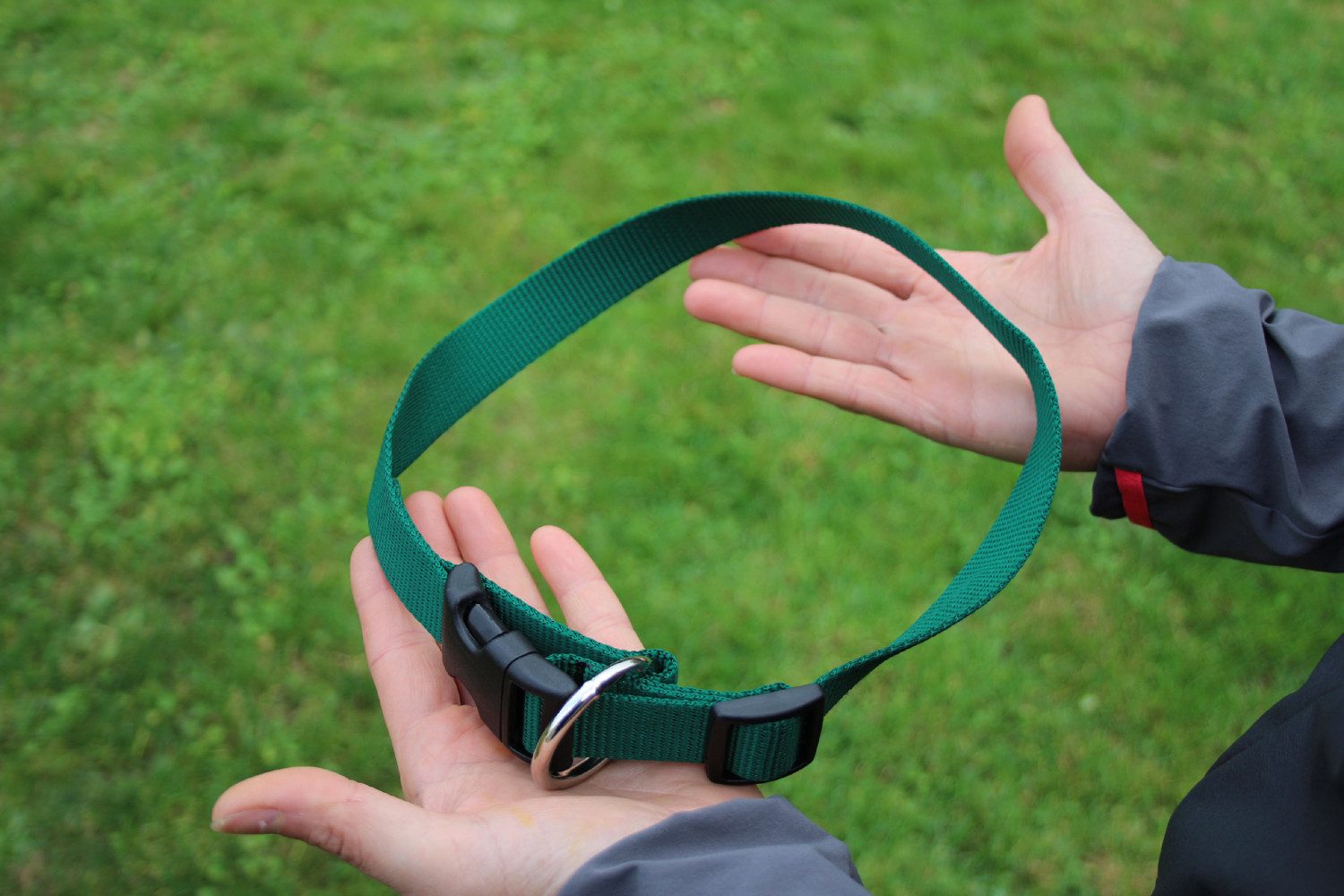 Activity4Dogs Hunde-Halsband große Hunde Nylon verstellbar 38-55 cm verschiedene Farben, mitwachsend