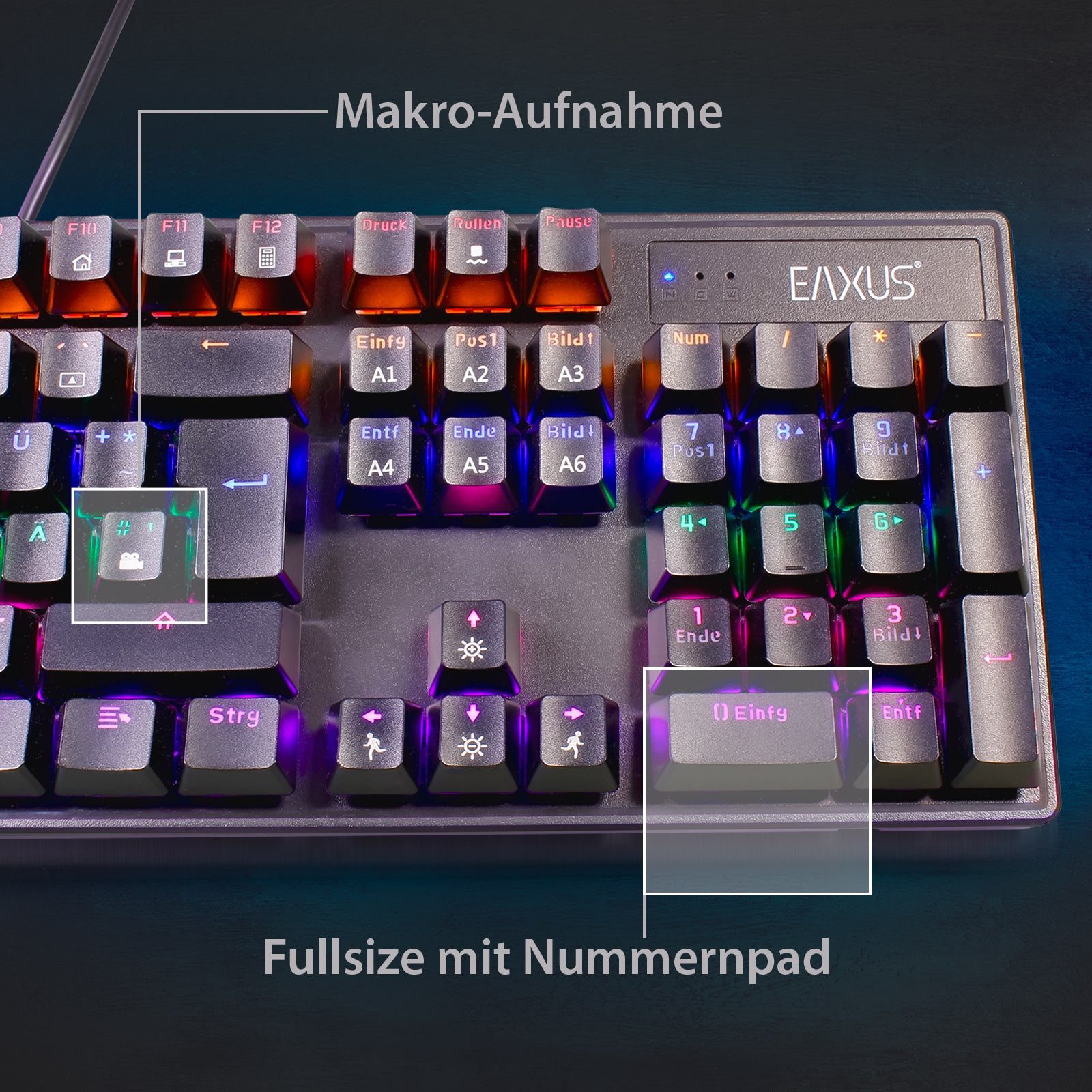 EAXUS Mechanische USB Tastatur Mychanics 94420 - Gaming & Office Gaming-Tastatur