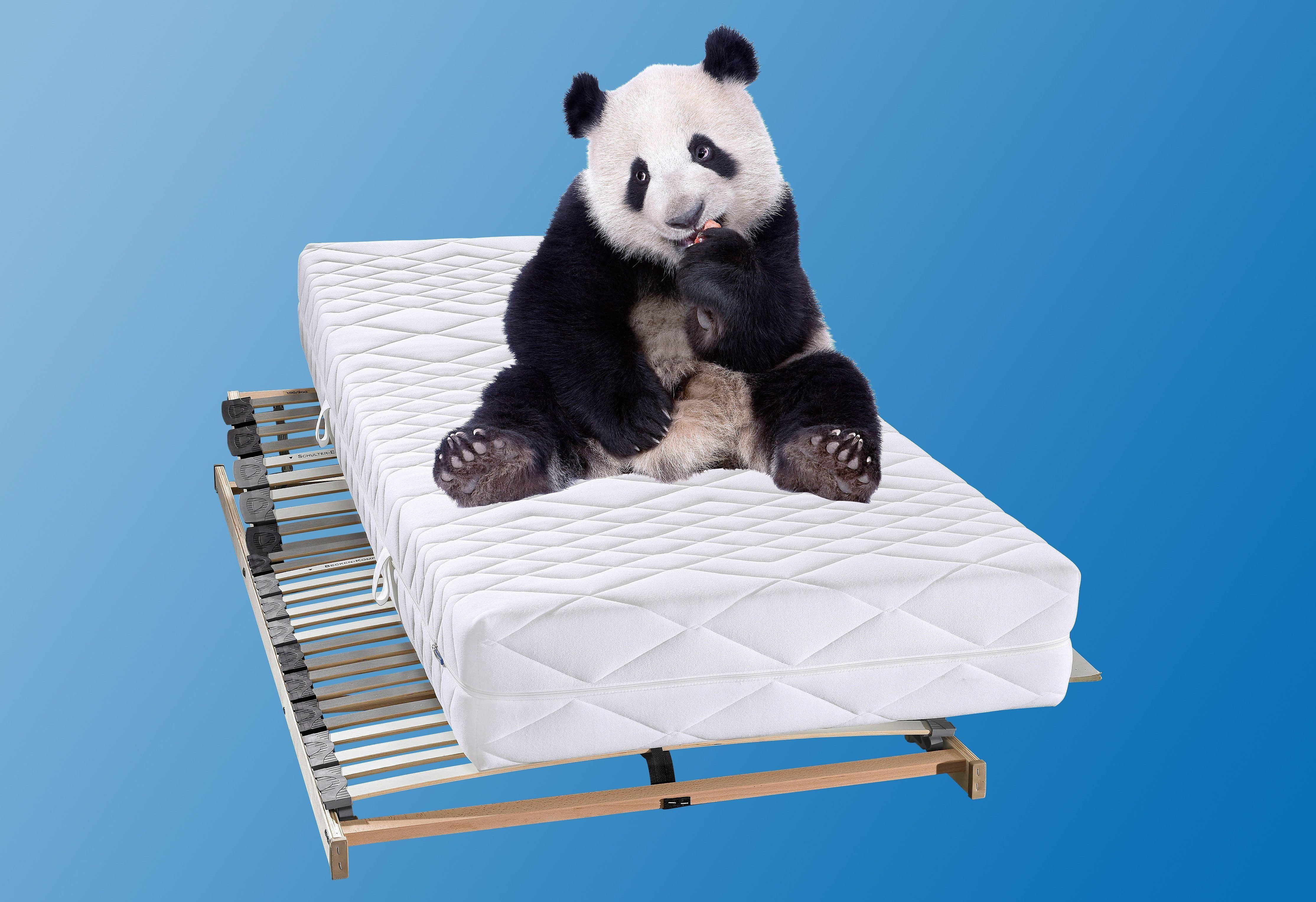 Taschenfederkernmatratze Lisa, 7 Zonen Tonnentaschenfederkern Matratze, Malie, 22 cm hoch, 90x200 cm, & weitere Größen, Matratze H2, H3, H4, H5