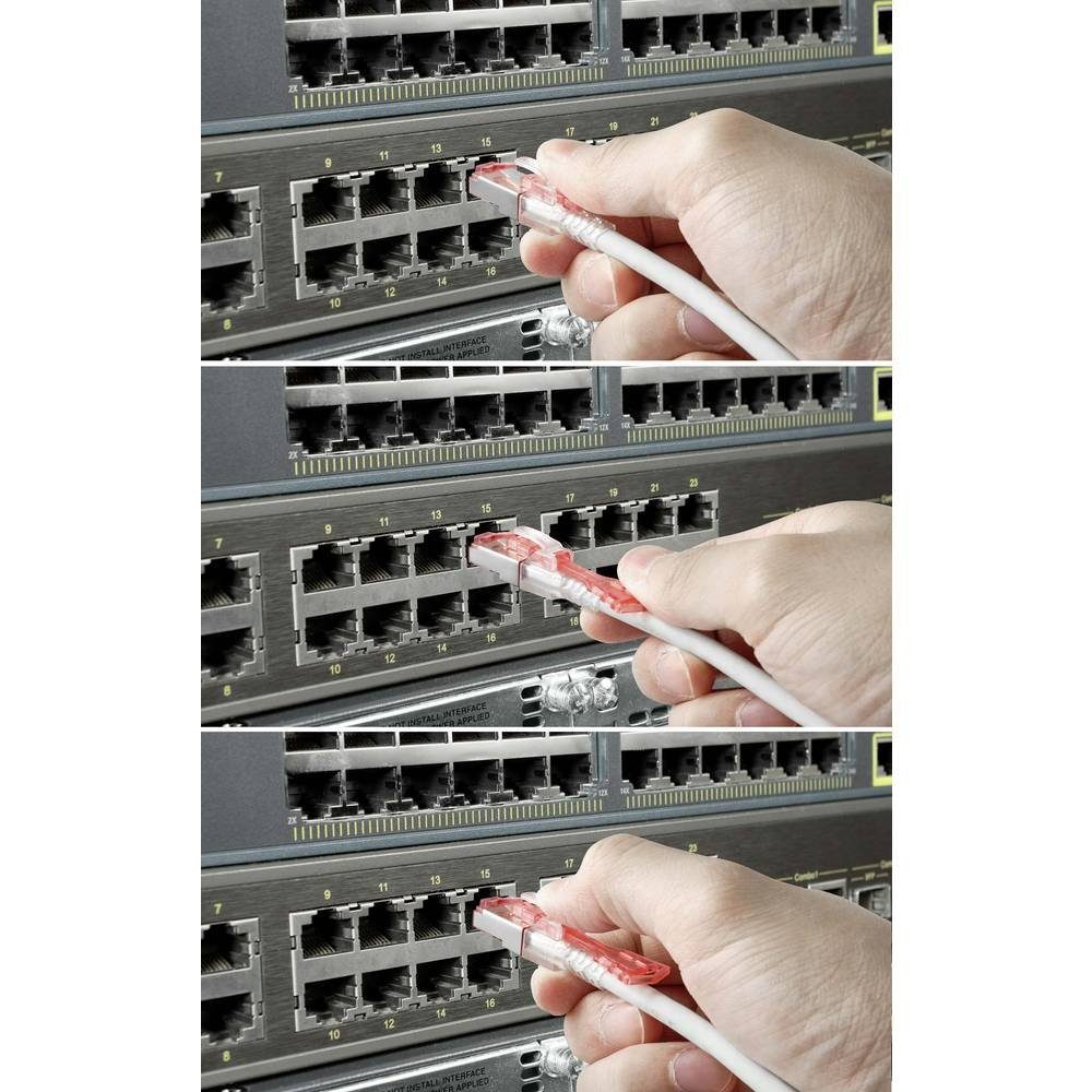 RJ45 LAN-Kabel 1 S/FTP 6a mmit Renkforce Netzwerk Anschlusskabel CAT