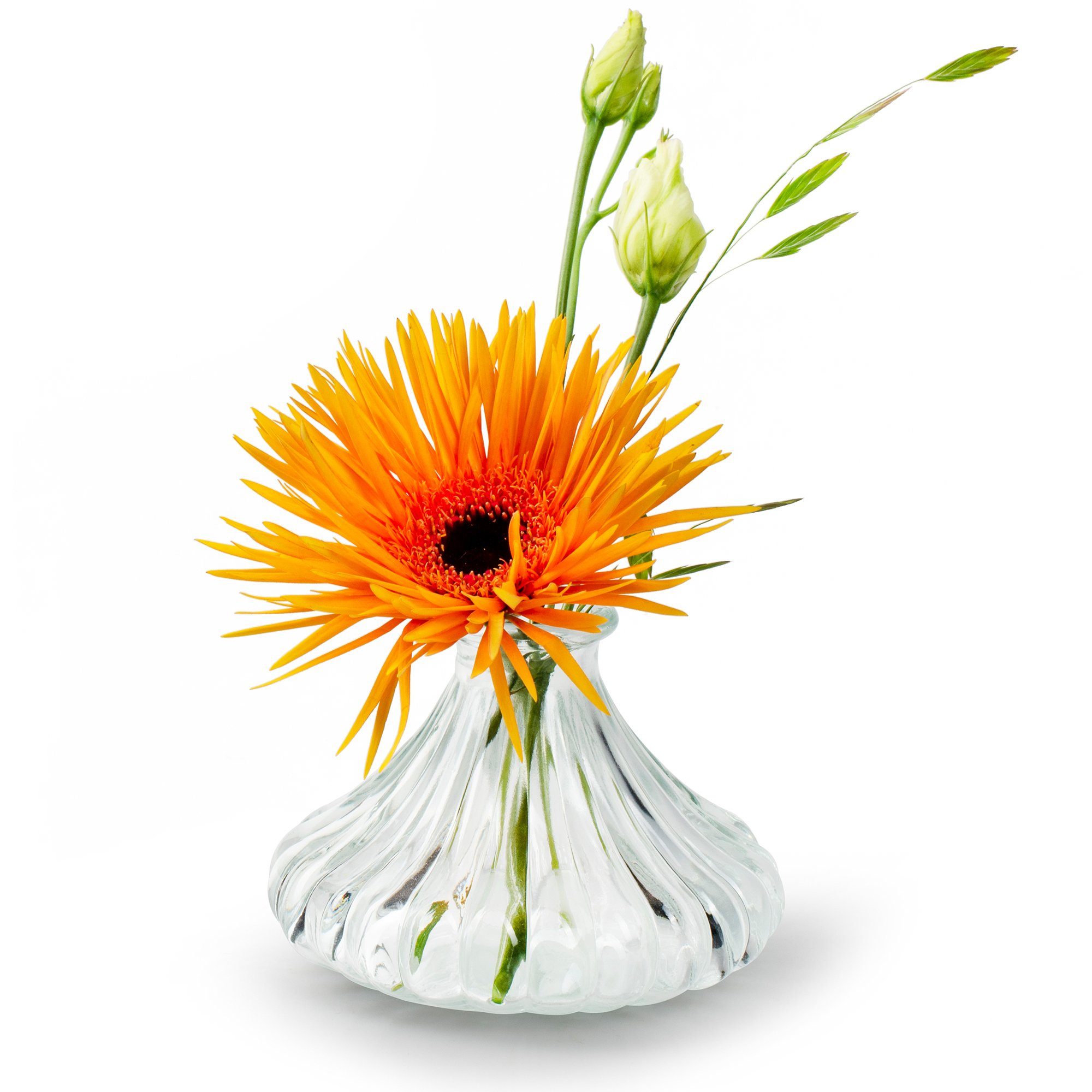 Annastore Dekovase 12 kleine Vasen aus Glas Vintage Blumenvasen Tischvasen Glasvasen, Dekoflaschen, Glasflaschen, Glasfläschchen, Deko-Flaschen