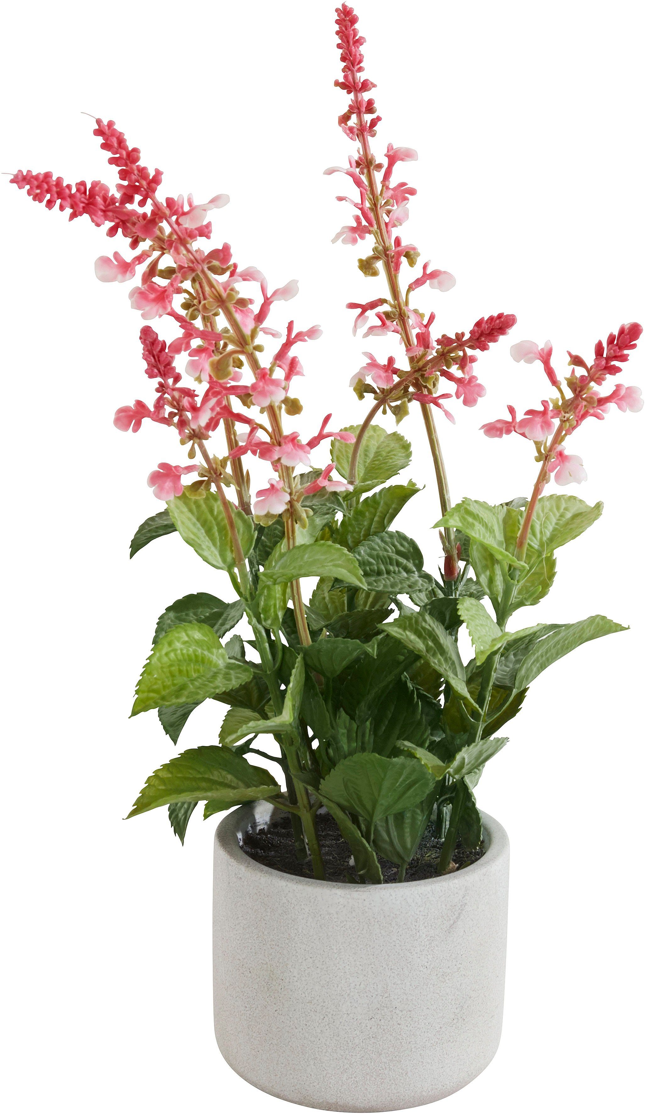 Kunstpflanze Avve Salbei, OTTO home, Höhe 45 cm, im Topf aus Zement