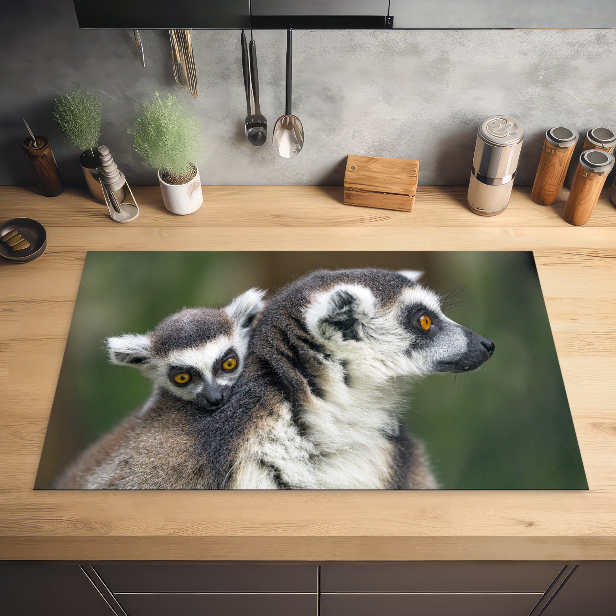 MuchoWow Herdblende-/Abdeckplatte Lemur (1 Natur, Ceranfeldabdeckung, cm, tlg), Jung 83x51 - Vinyl, küche für Arbeitsplatte 