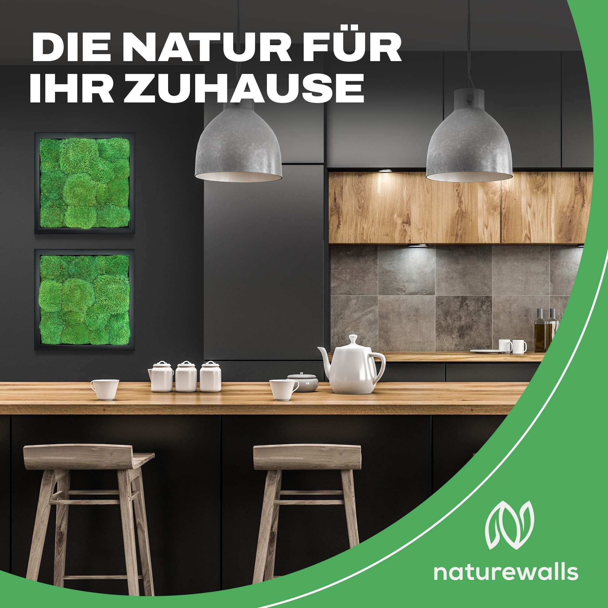 naturewalls - Pflanzenbild konserviert Wandbild, Kugelmoos Schwarz Moosbild St), (1 Vollholz-Rahmen Bild -