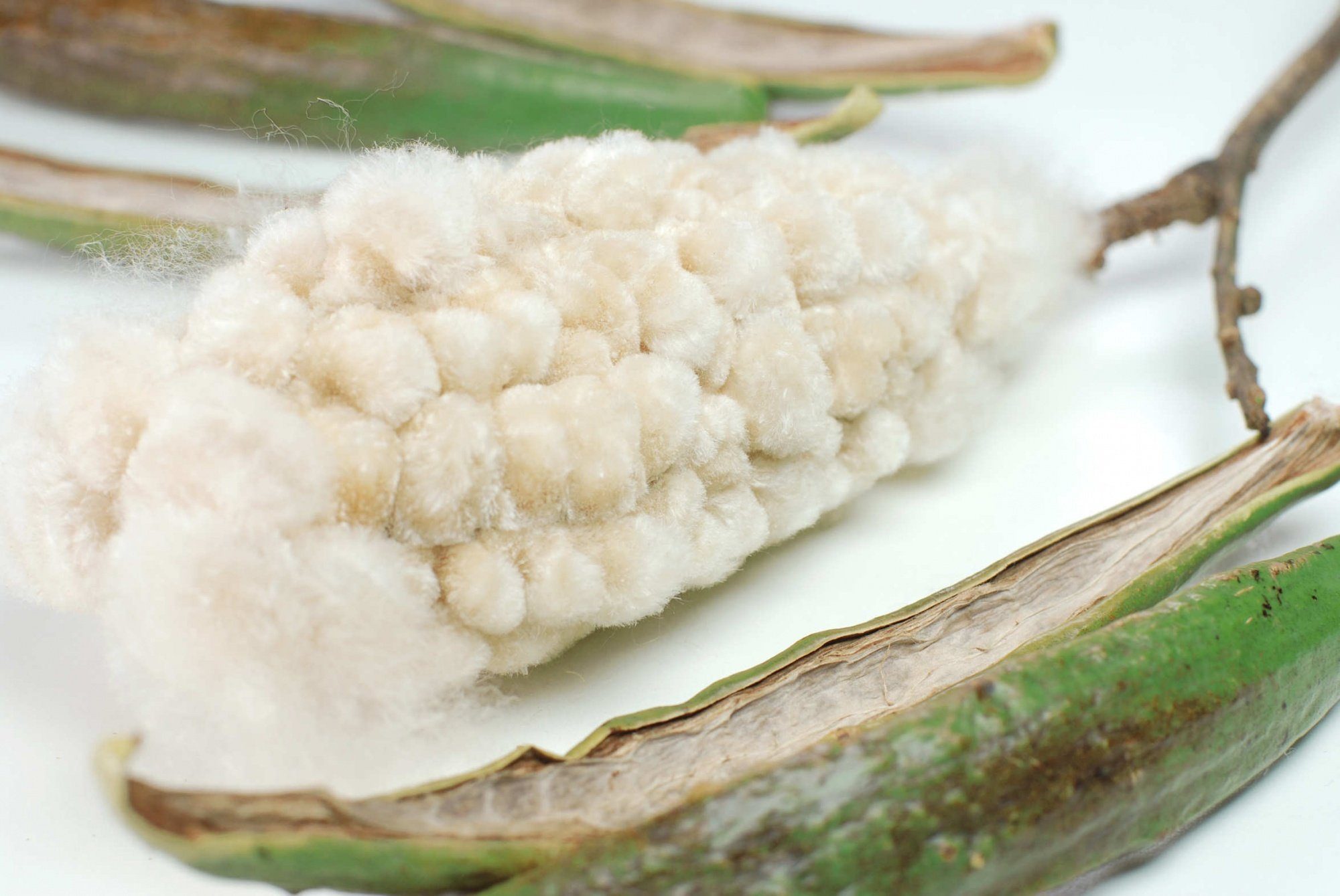 fränkische Schlaf-Manufaktur Kissenfüllung 1kg Kapok Pflanzenfaser, natürli günstig online kaufen