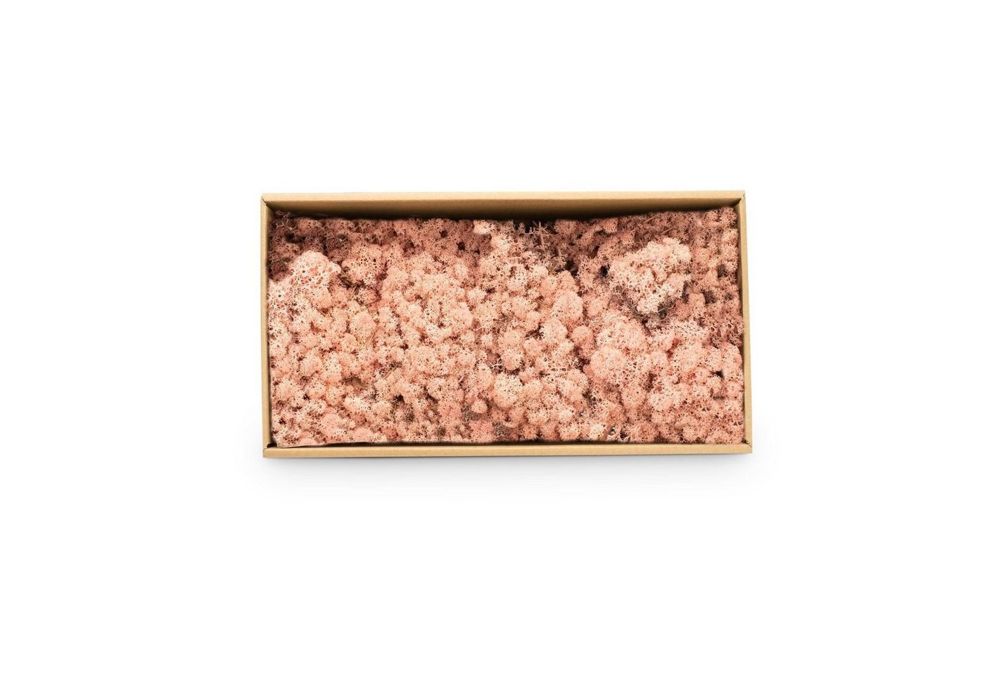 Thumbnail - NaDeco Bastelnaturmaterial Islandmoos Pink 500g