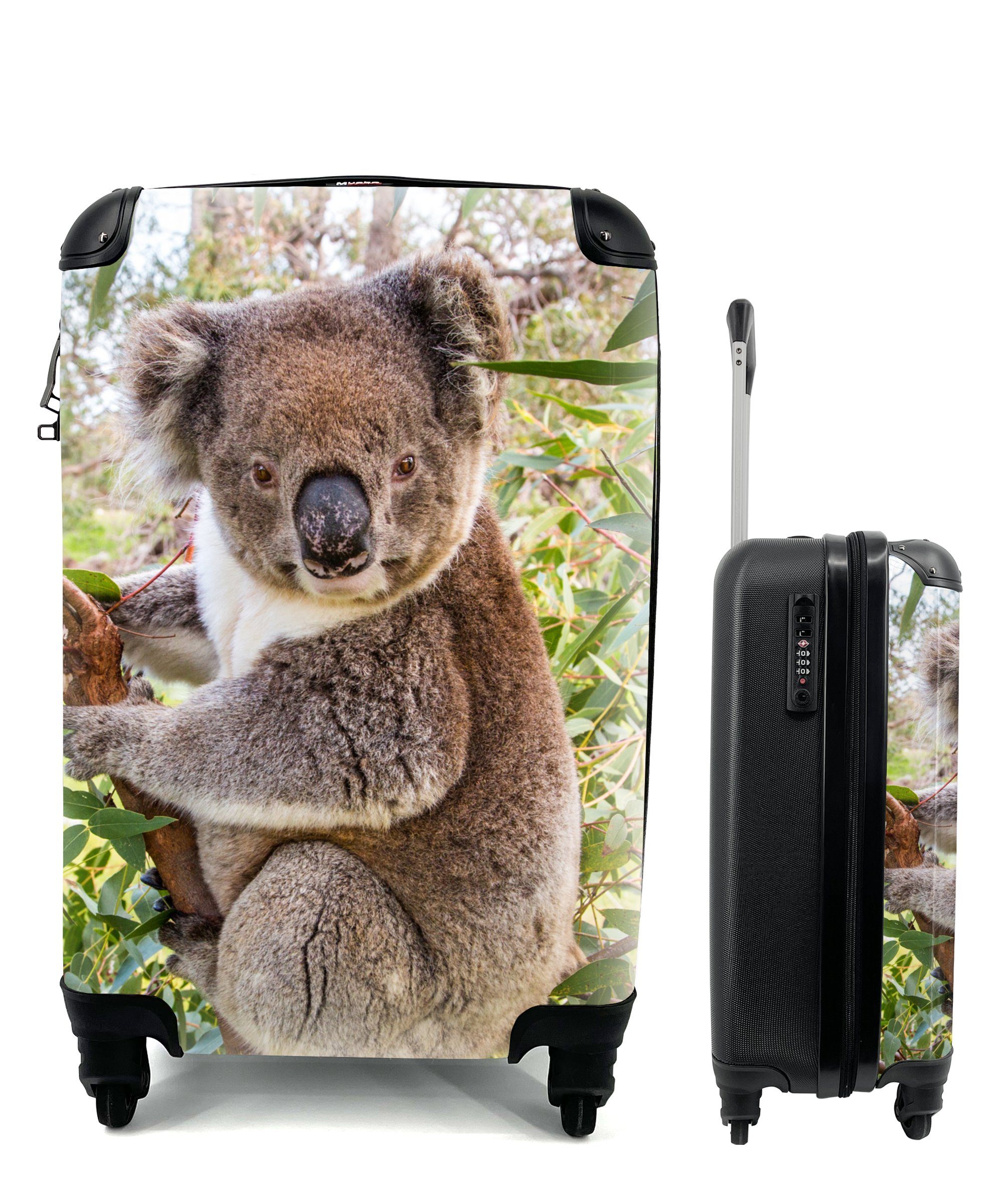 MuchoWow Handgepäckkoffer Koala - Blätter - Kinder - Jungen - Mädchen, 4 Rollen, Reisetasche mit rollen, Handgepäck für Ferien, Trolley, Reisekoffer