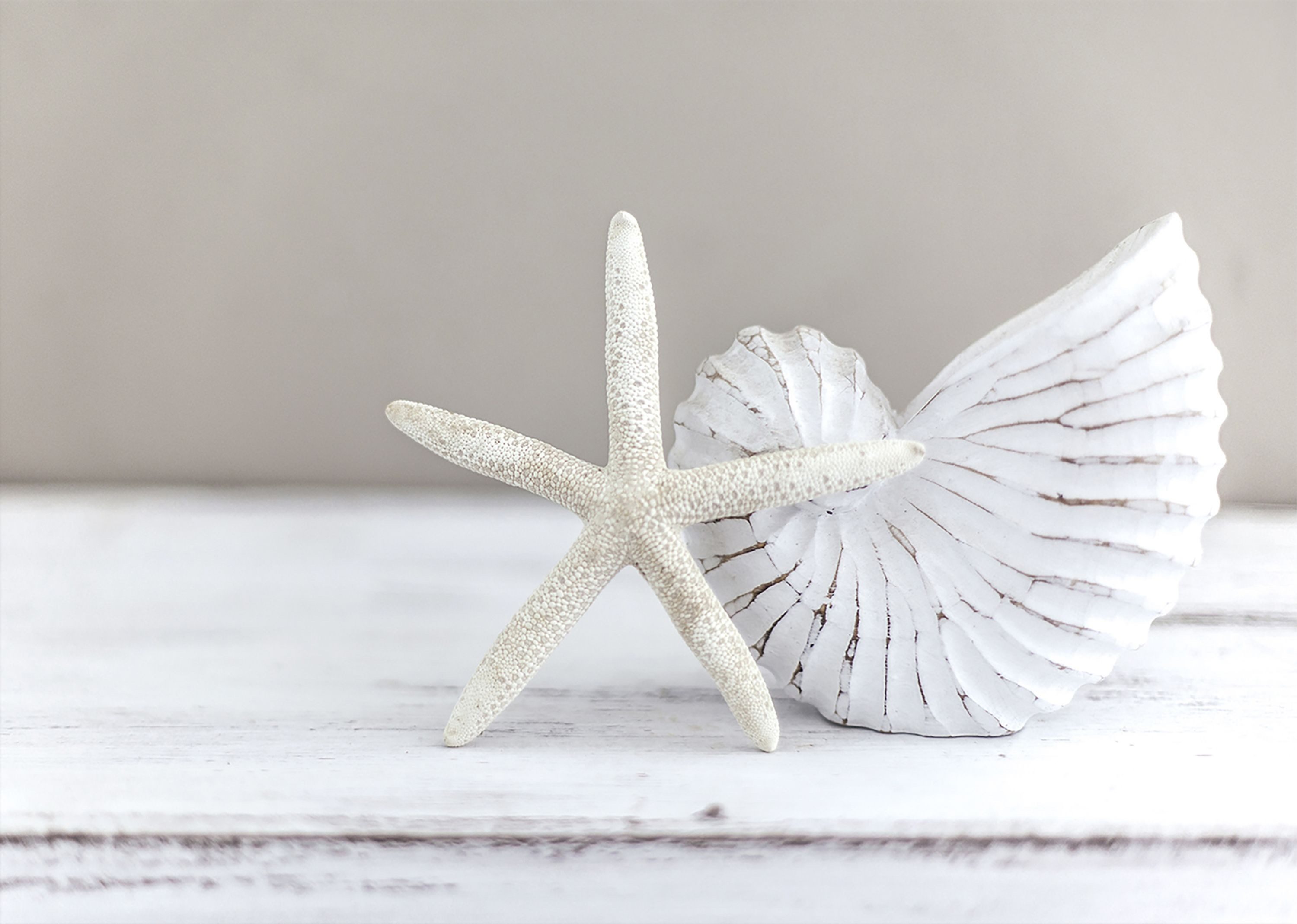 artissimo Deco-Panel Dekopanel ca.20x30cm Wandbild klein Bild Wanddeko Strand Meer weiß, Strand Impressionen: Maritime Deko in weiß