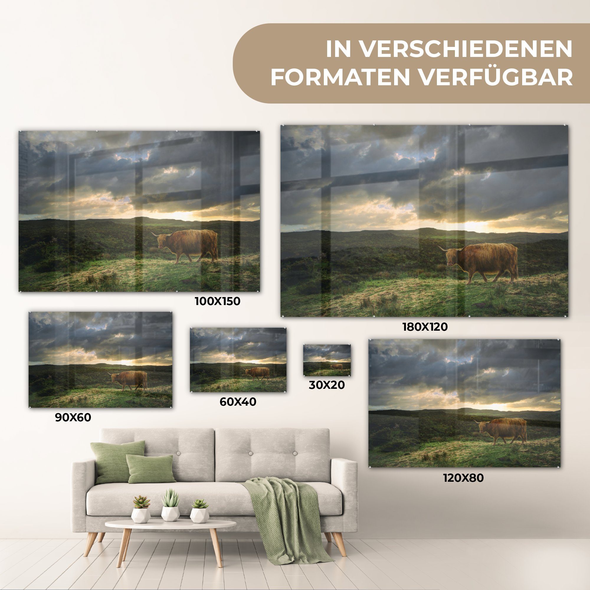 Schottischer Kuh, (1 Landschaft St), MuchoWow Acrylglasbild Acrylglasbilder Schlafzimmer - & - Wohnzimmer Hochländer
