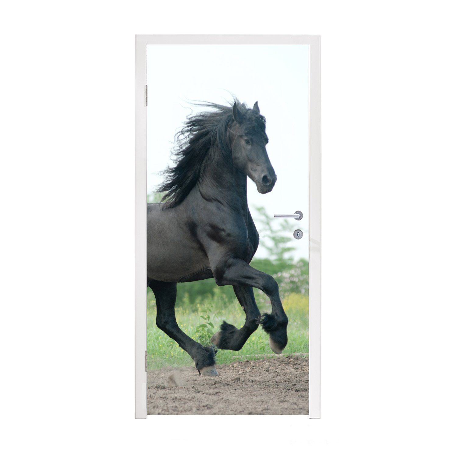 MuchoWow Türtapete Pferd - Schwarz - Natur, Matt, bedruckt, (1 St), Fototapete für Tür, Türaufkleber, 75x205 cm