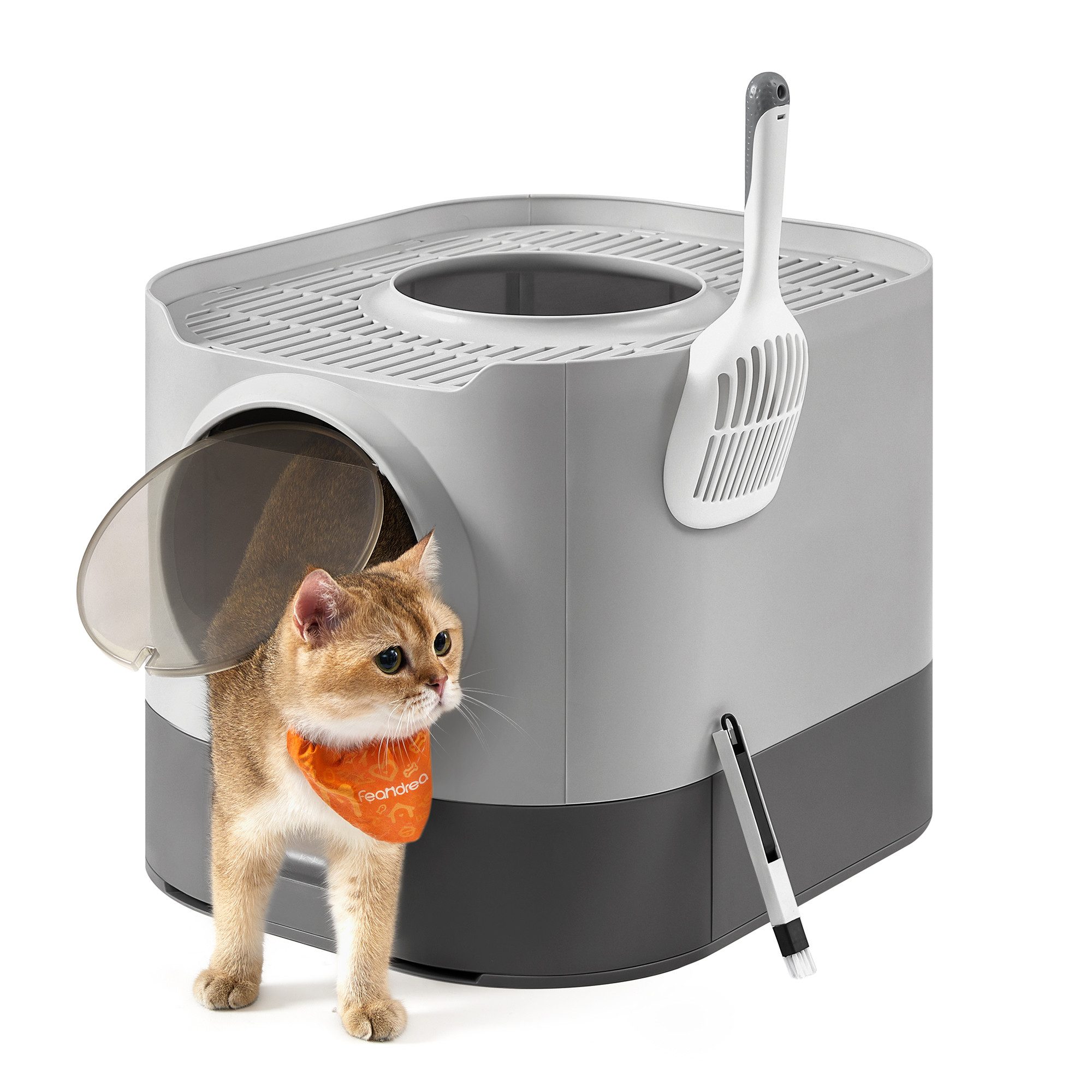 Katzentoilette