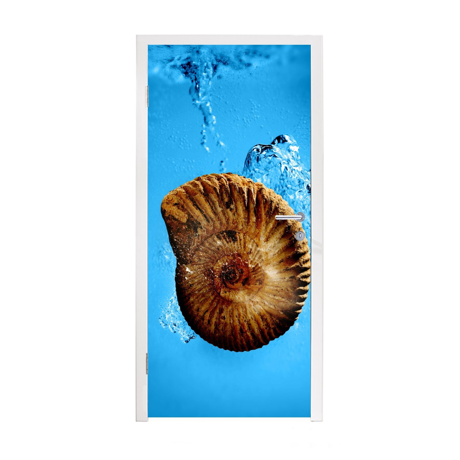 MuchoWow Türtapete Meer - Muscheln - Fossilien, Matt, bedruckt, (1 St), Fototapete für Tür, Türaufkleber, 75x205 cm