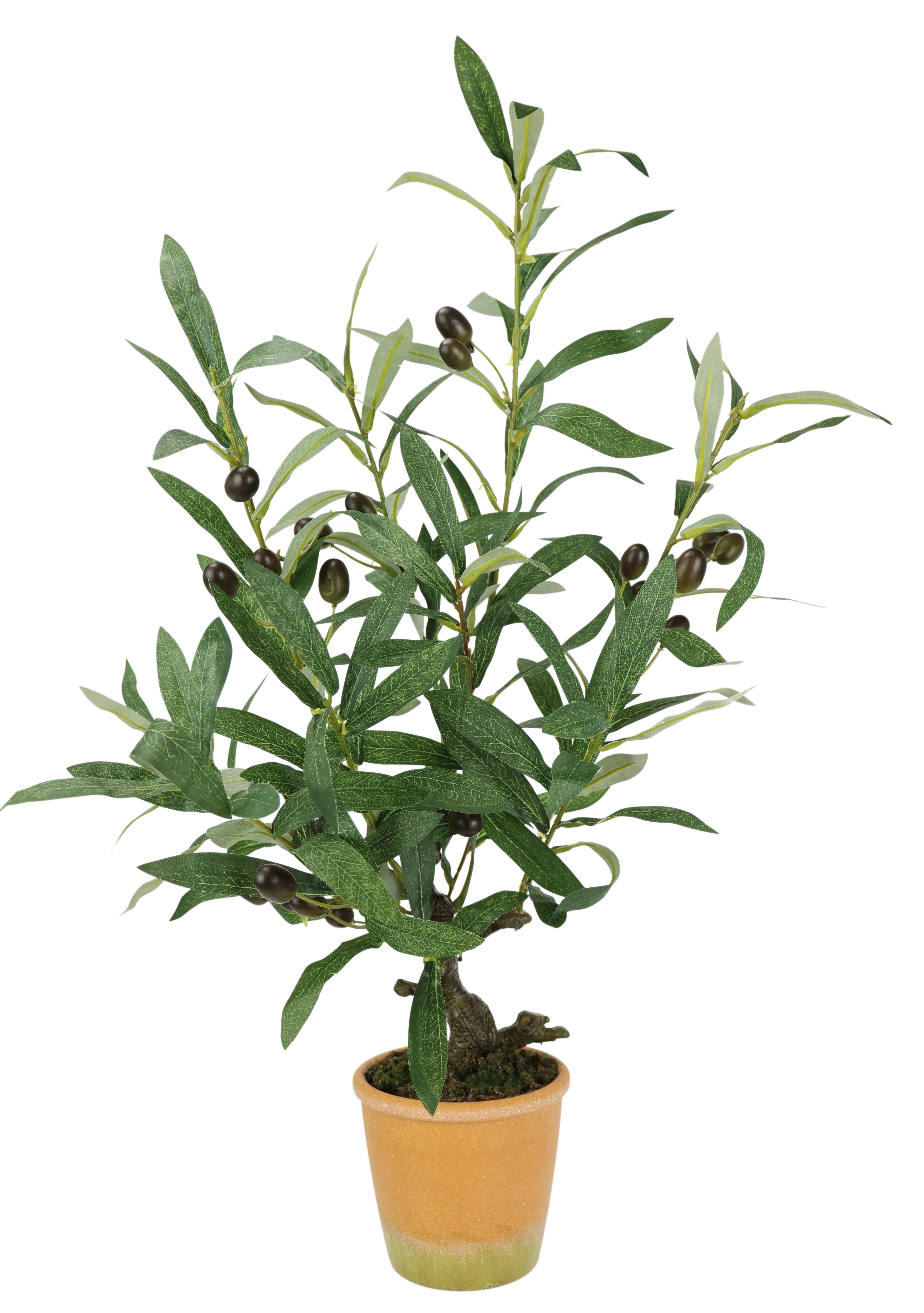 Kunstpflanze Künstlicher Olivenbaum mit schwarzen Früchten, I.GE.A., Höhe 57 cm, Olive Mediterran Ölbaum Grünpflanze Kunstbaum Dekobaum Baum