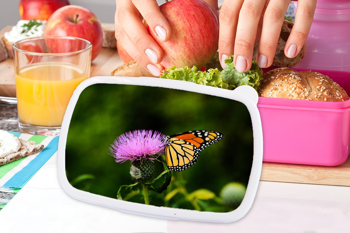 Snackbox, Schmetterling Kunststoff Mädchen, Erwachsene, Brotbox - rosa (2-tlg), MuchoWow Blumen Makro, Kinder, Brotdose für - Kunststoff, Lunchbox