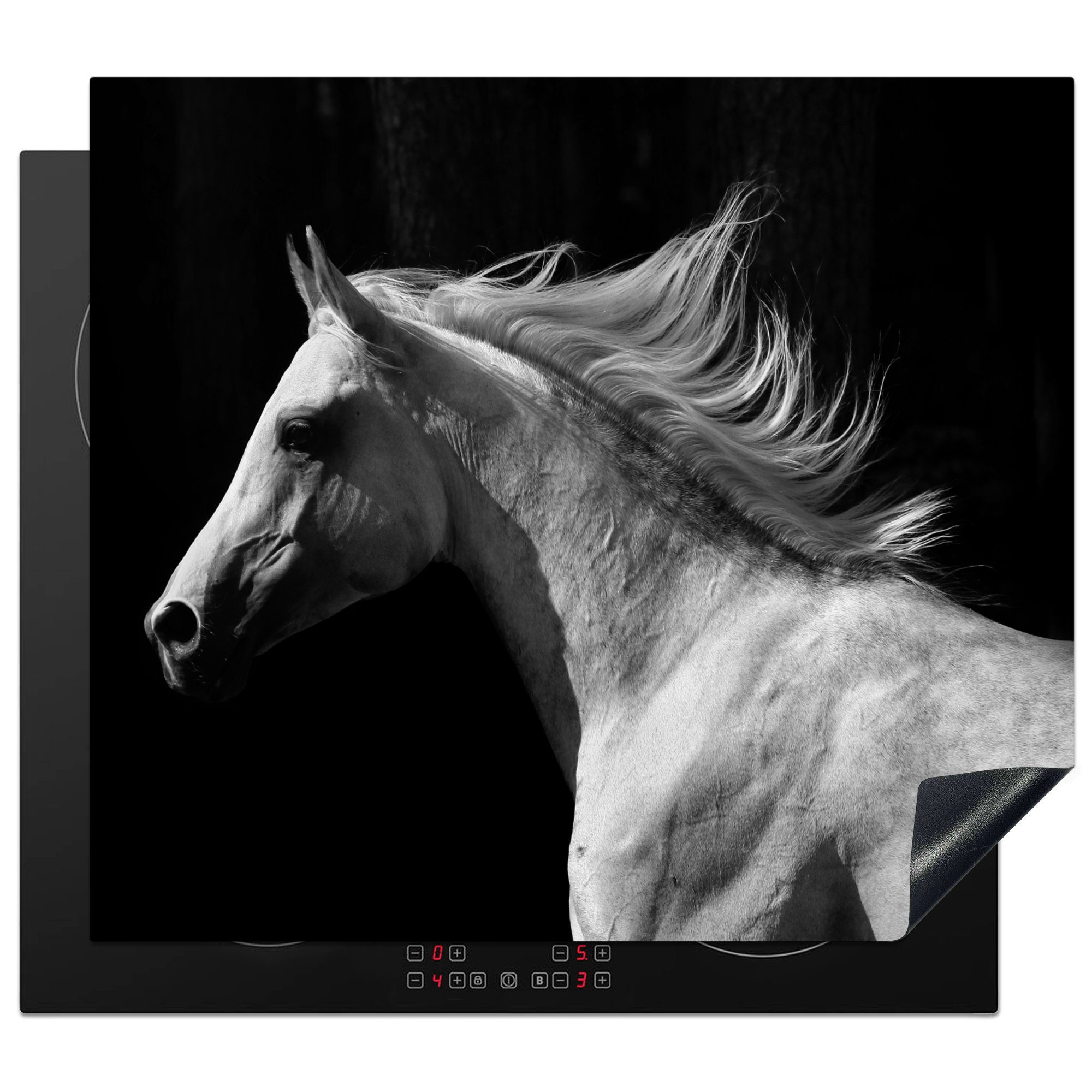 MuchoWow Herdblende-/Abdeckplatte Pferde die Ceranfeldabdeckung 59x52 - Tiere cm, küche, Induktionsmatte für - tlg), (1 Porträt, Vinyl