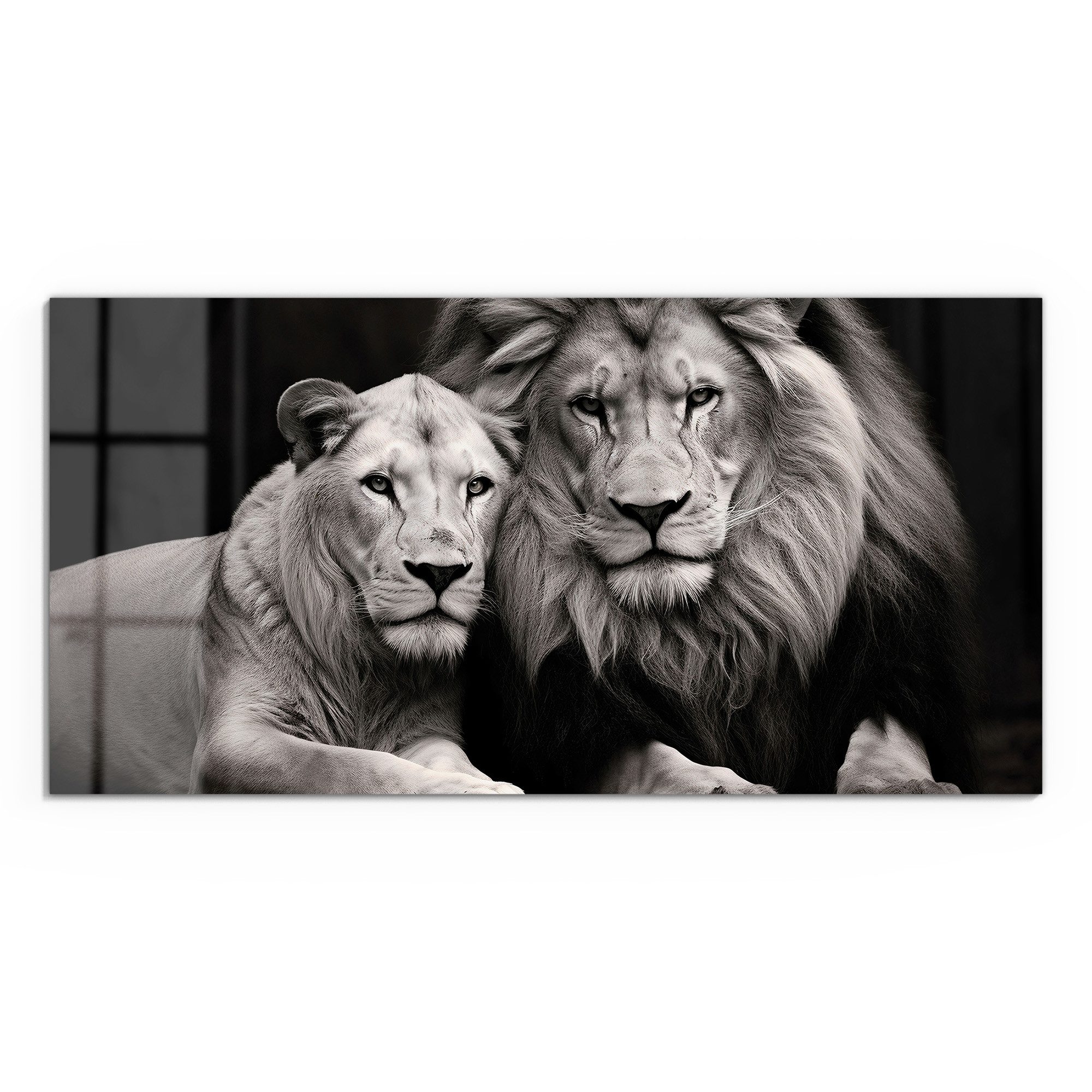 DEQORI Glasbild 'Stolzes Löwenpaar', 'Stolzes Löwenpaar', günstig online kaufen