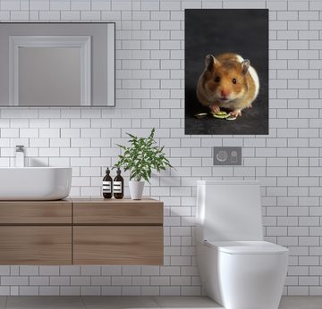Wallario Wandfolie, Putziger Hamster mit Nüssen zwischen den Pfoten, wasserresistent, geeignet für Bad und Dusche