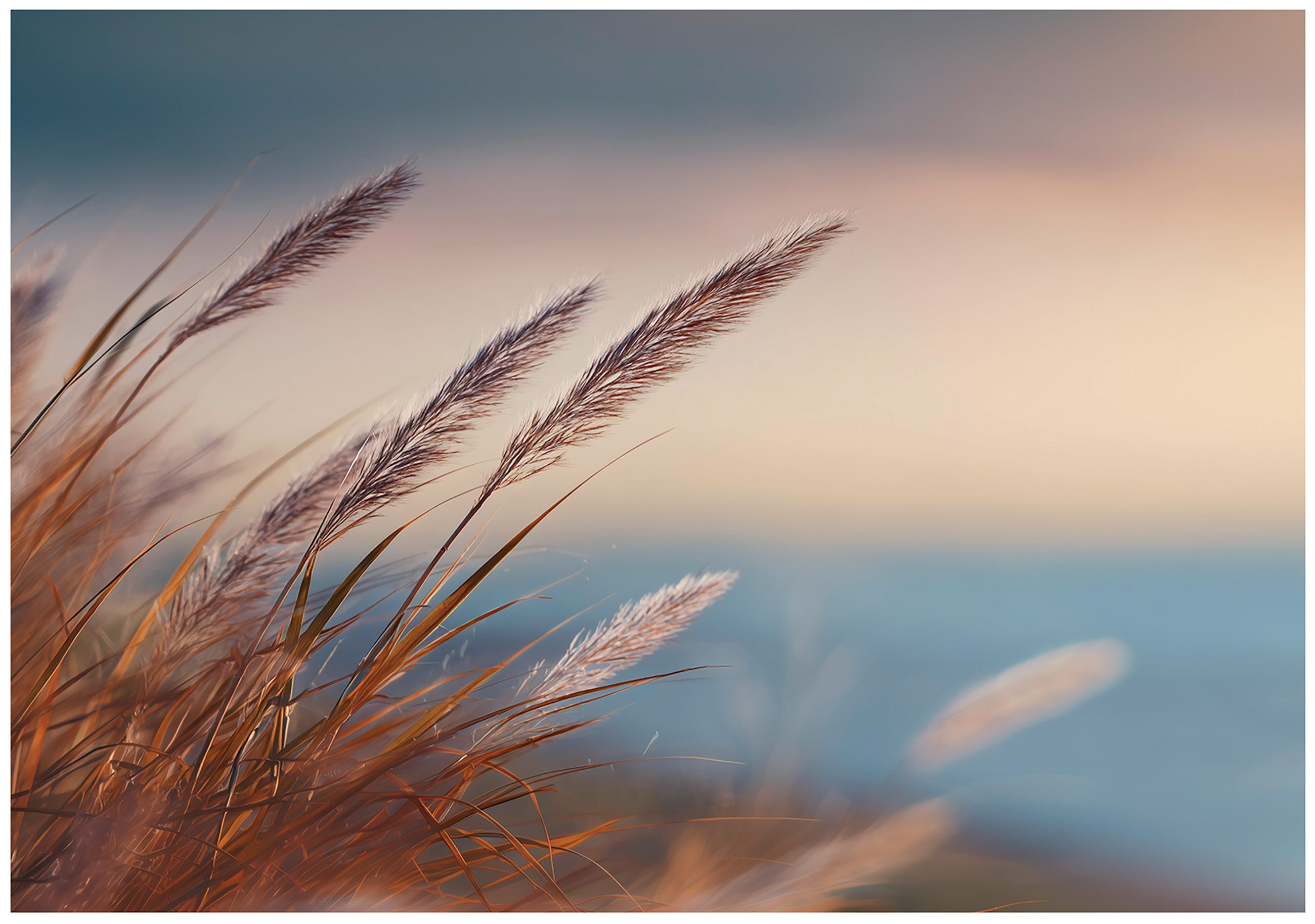 Wallarena Fototapete Gras Strand Ozean Blau Vlies Tapete Wohnzimmer Schlafzimmer Wandtapete, Glatt Vlies Washable, Gras, Strand, Ozean, Sonnenuntergang, Blau, Wolken, (Packung, 2 St., Vlies Fototapete), Vliestapete Blau Wohnzimmer Schlafzimmer Küche Tapete + Kleister
