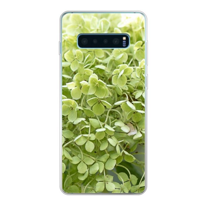 MuchoWow Handyhülle Grüne Hortensie auf verblasstem Hintergrund Phone Case Handyhülle Samsung Galaxy S10+ Silikon Schutzhülle
