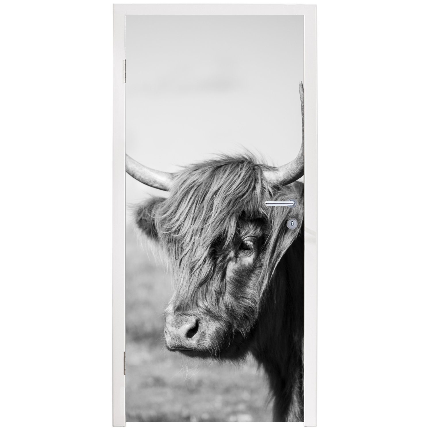 Schottischer Tiere Fototapete Matt, cm St), Tür, für - Türtapete Weiß, bedruckt, 75x205 Highlander - MuchoWow Türaufkleber, (1 - Schwarz