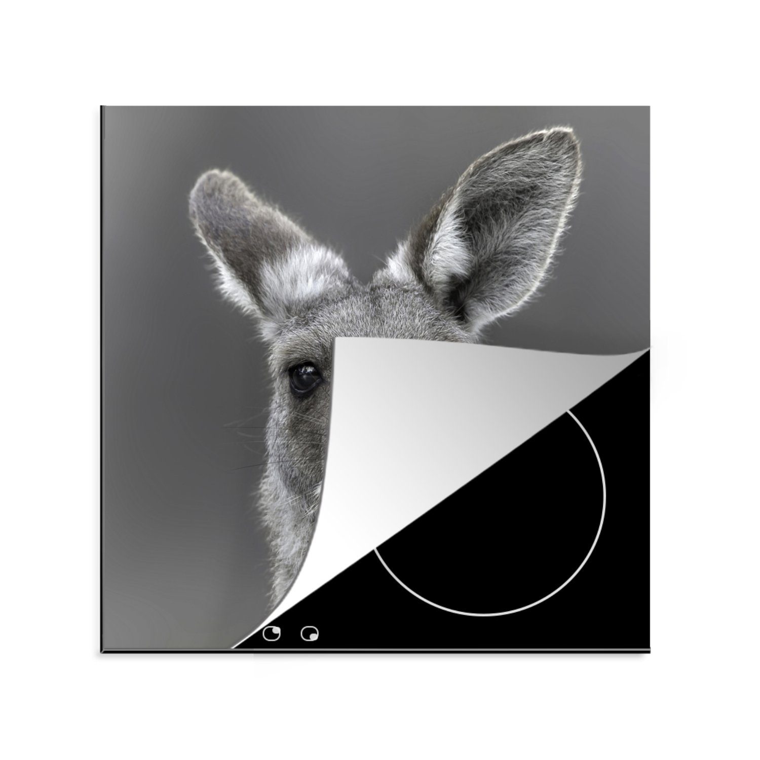 MuchoWow Herdblende-/Abdeckplatte Känguru - Tiere - Schwarz - Weiß, Vinyl, (1 tlg), 78x78 cm, Ceranfeldabdeckung, Arbeitsplatte für küche