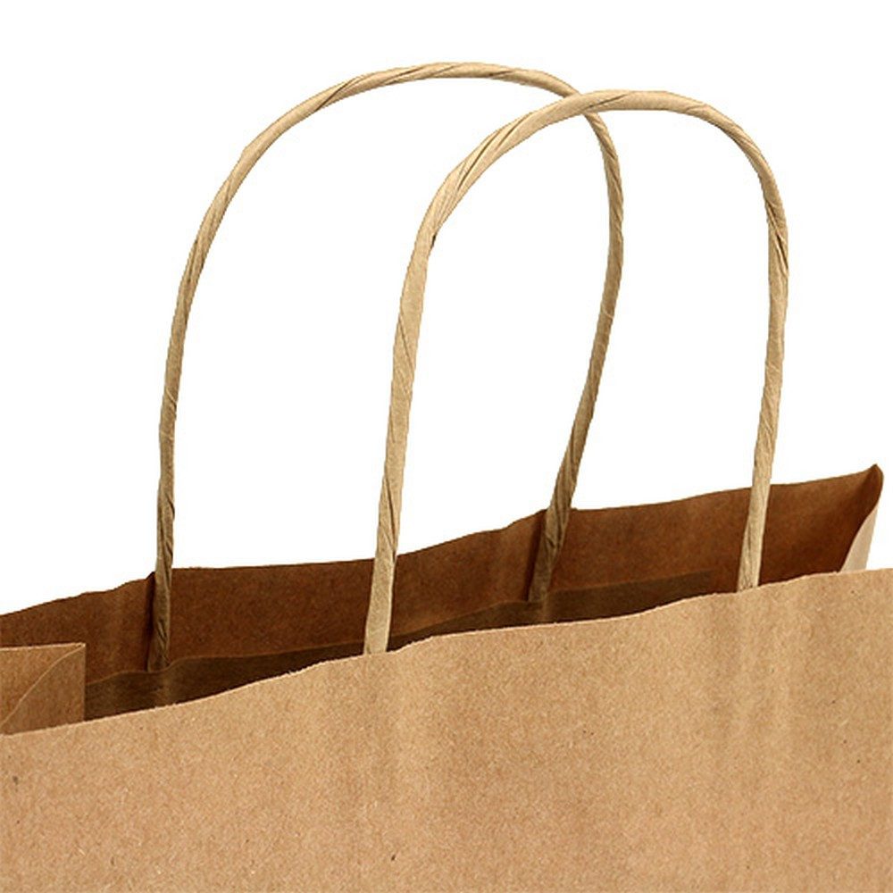 Florists Products Tragetasche Öko Papiertragetasche Natur 23x12x30cm - Stabil &, 50 Stück