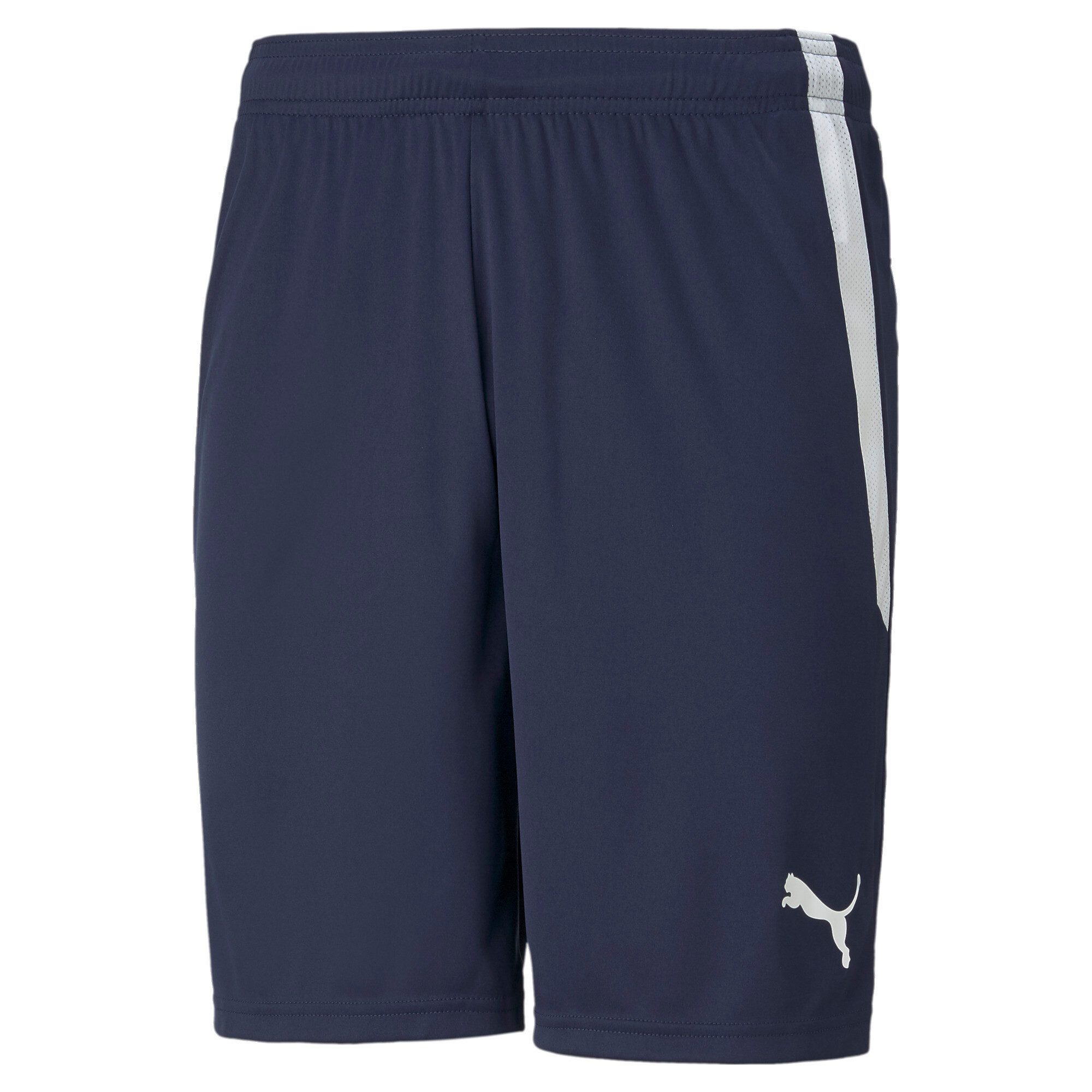 PUMA Trainingsshorts TEAMLIGA SHORTS günstig online kaufen
