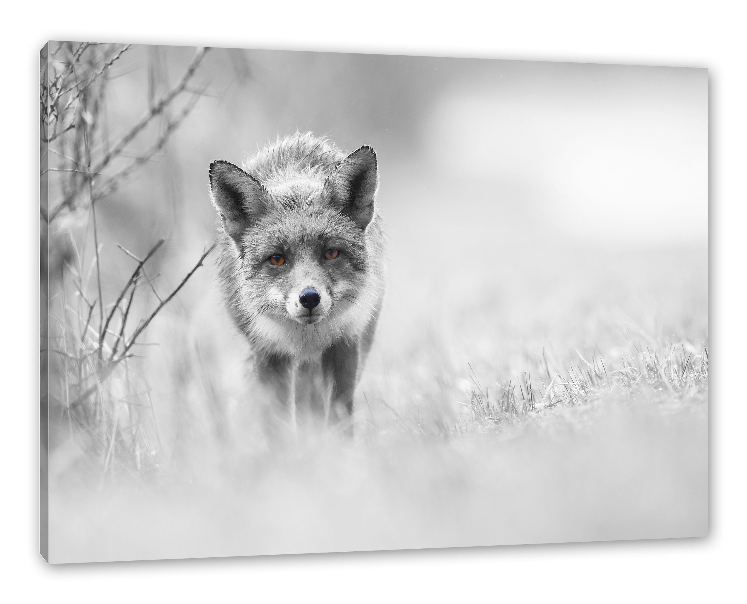 (1 Leinwandbild schleichender Pixxprint inkl. Leinwandbild Fuchs Fuchs, bespannt, fertig Zackenaufhänger schleichender hübscher St), hübscher