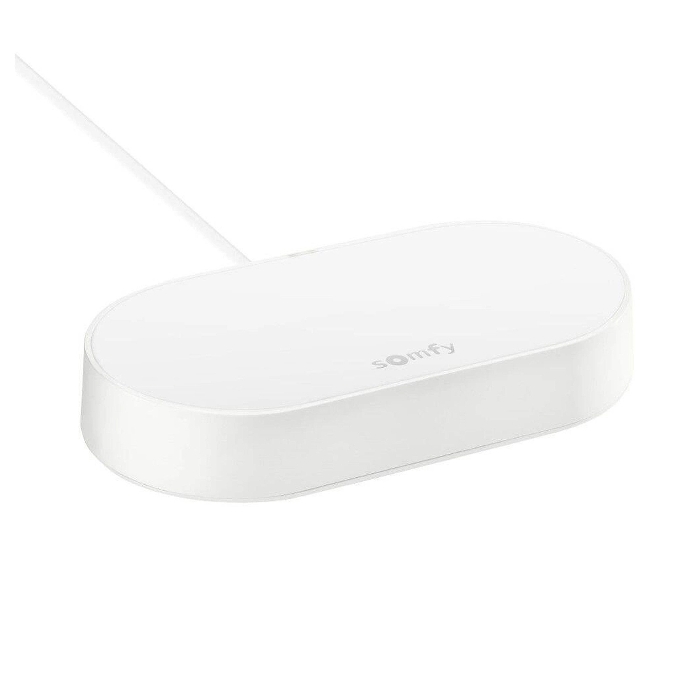 Somfy Türschließer Somfy Exavia Star Connect Kit – Online-Steuerung für Flügeltore, (1-tlg)