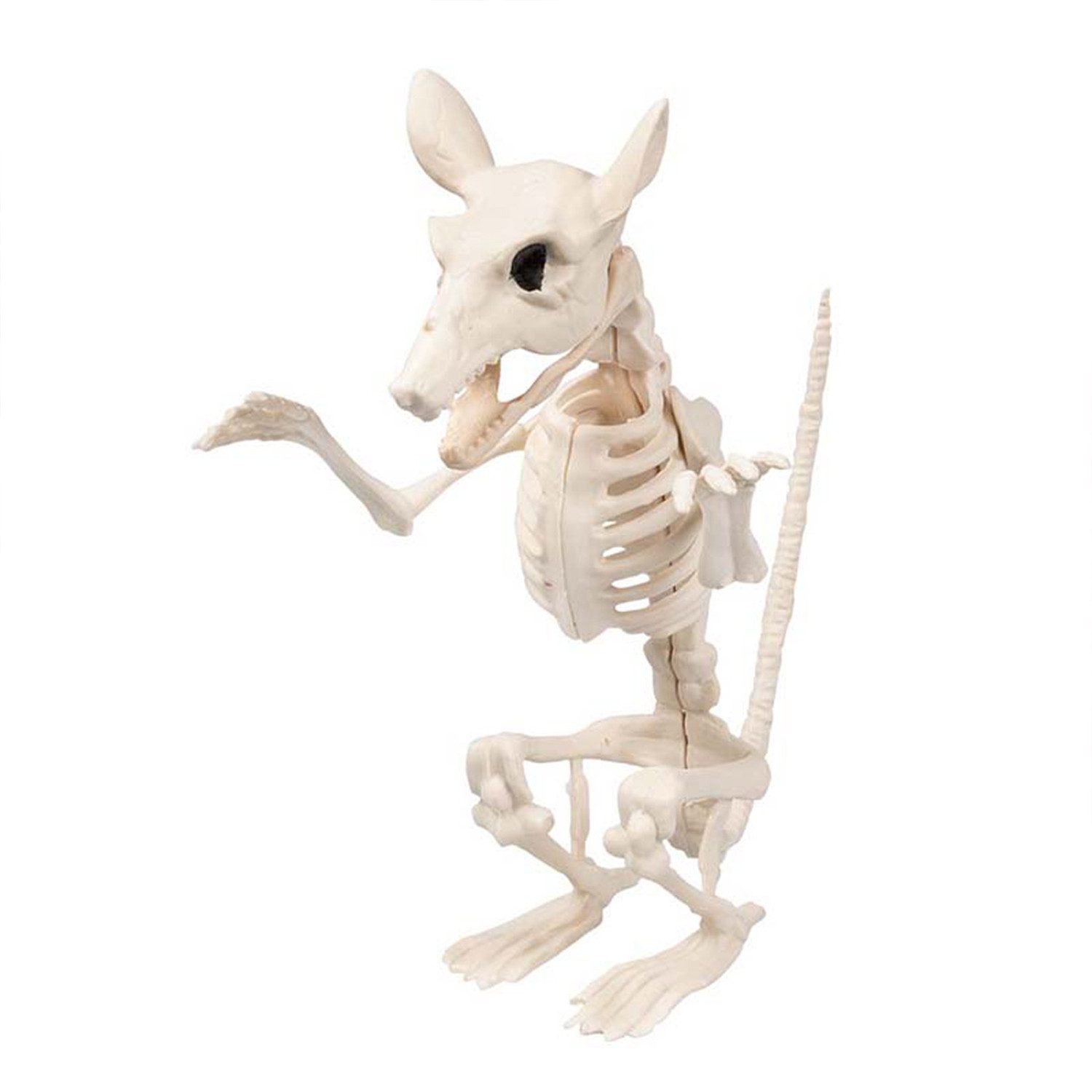 Boland Dekoobjekt Skelett Tiere 5-fach sortiert, Beige - Halloween – Bild 4 von 5