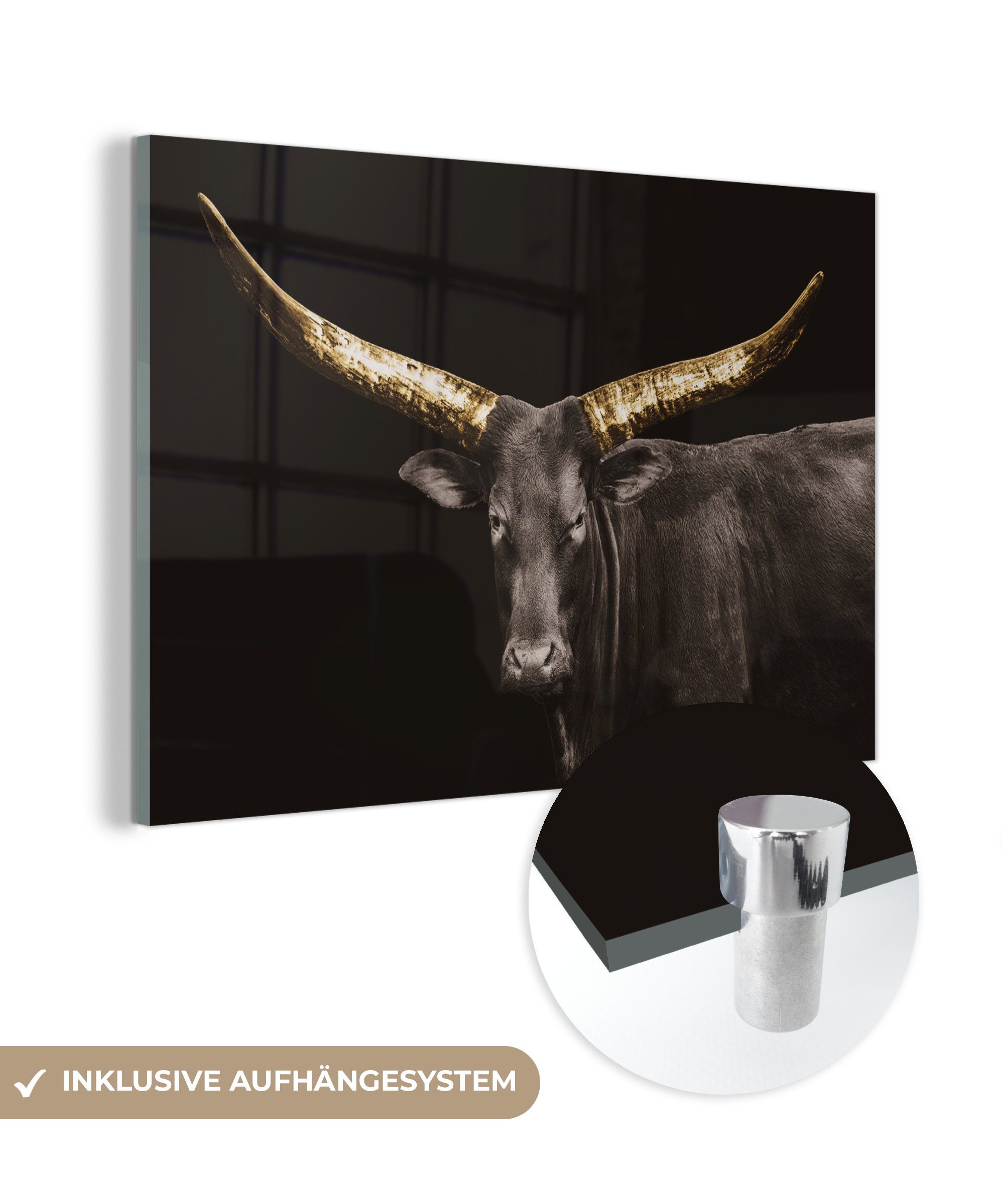 MuchoWow Acrylglasbild Kuh - Gold - Schwarz, (1 St), Glasbilder - Bilder auf Glas Wandbild - Foto auf Glas - Wanddekoration