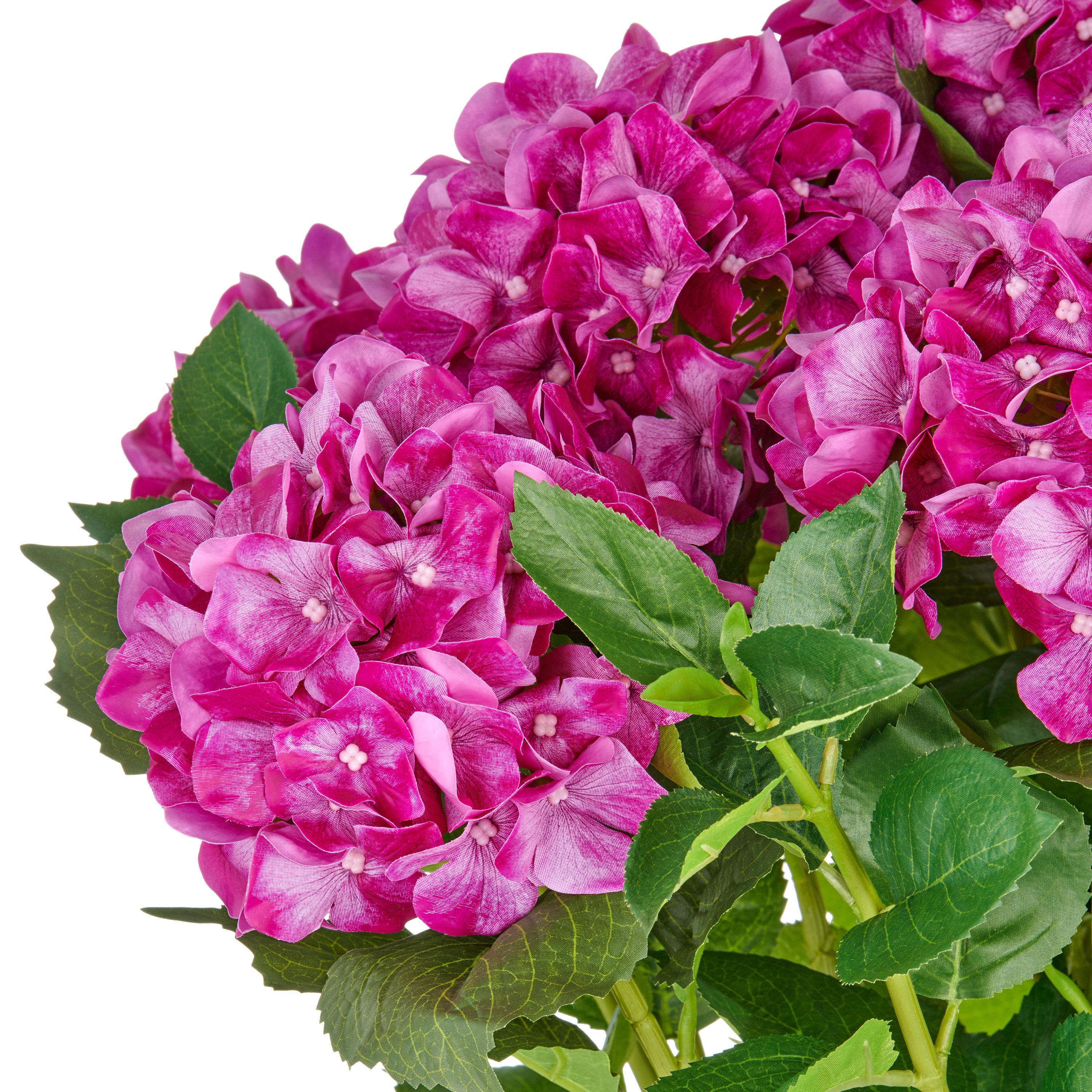 Kunstpflanze Hortensie, Creativ green, Höhe 70 günstig online kaufen