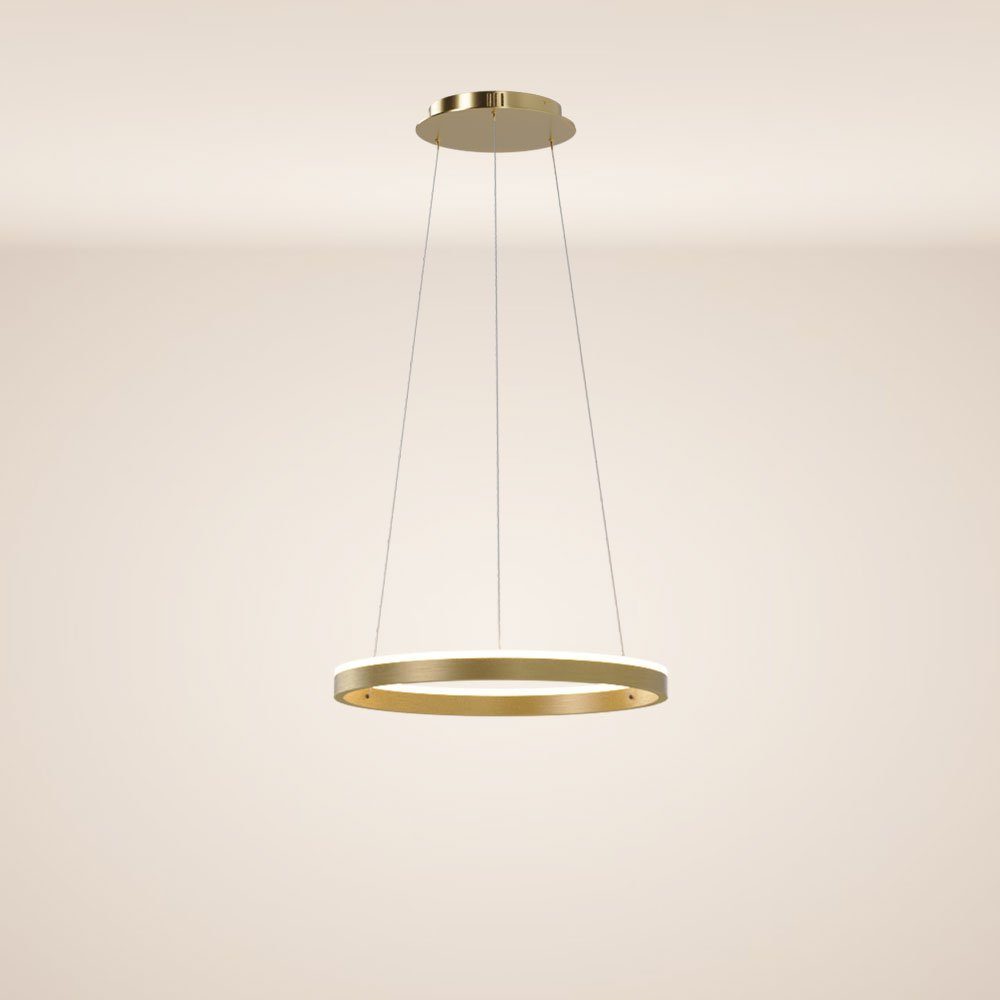 s.luce Pendelleuchte LED Ring Pendelleuchte rund Direkt oder Indirekt Gold, günstig online kaufen