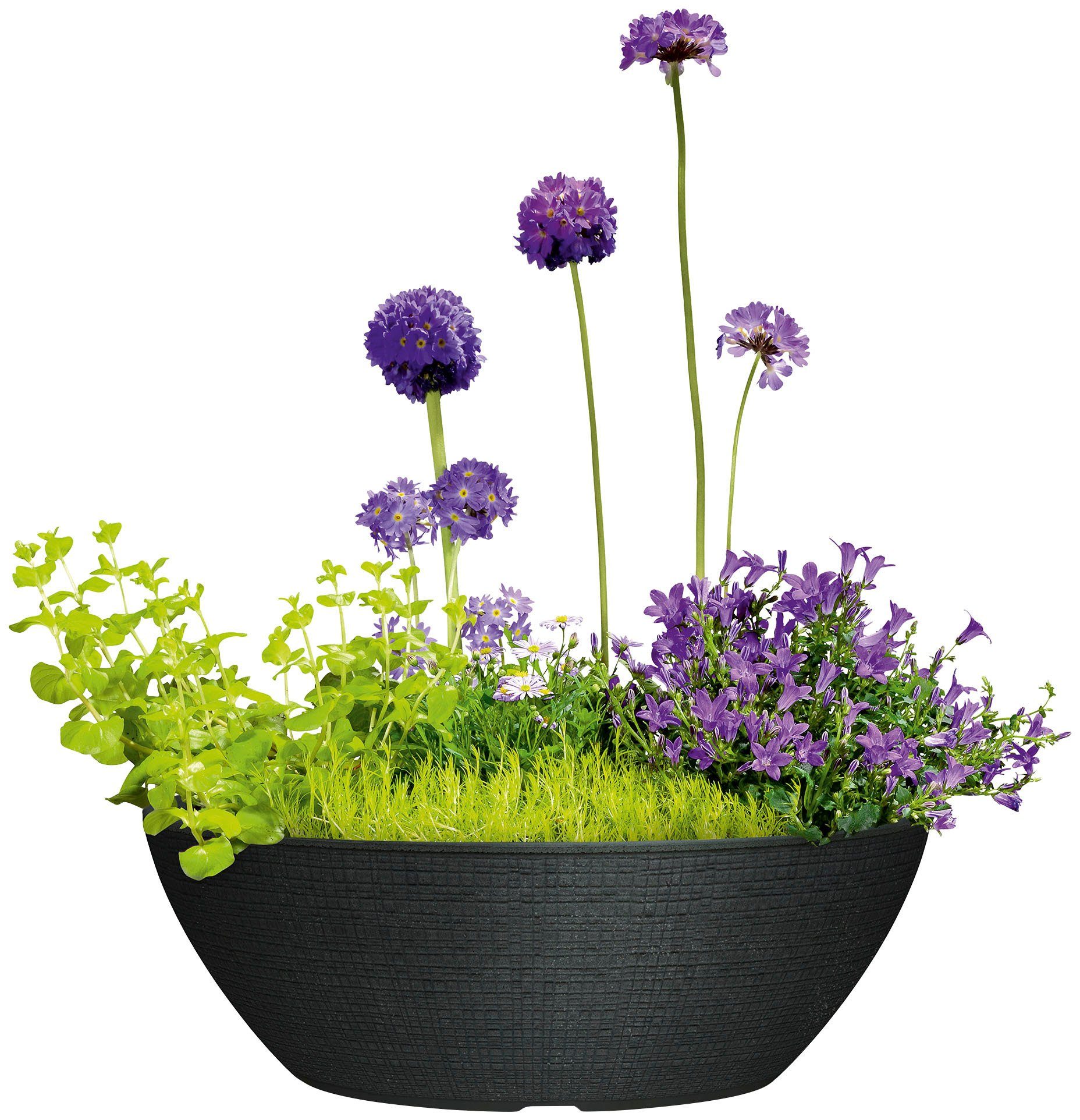 Scheurich Blumentopf 60/298 BARCEO JARDINIERE