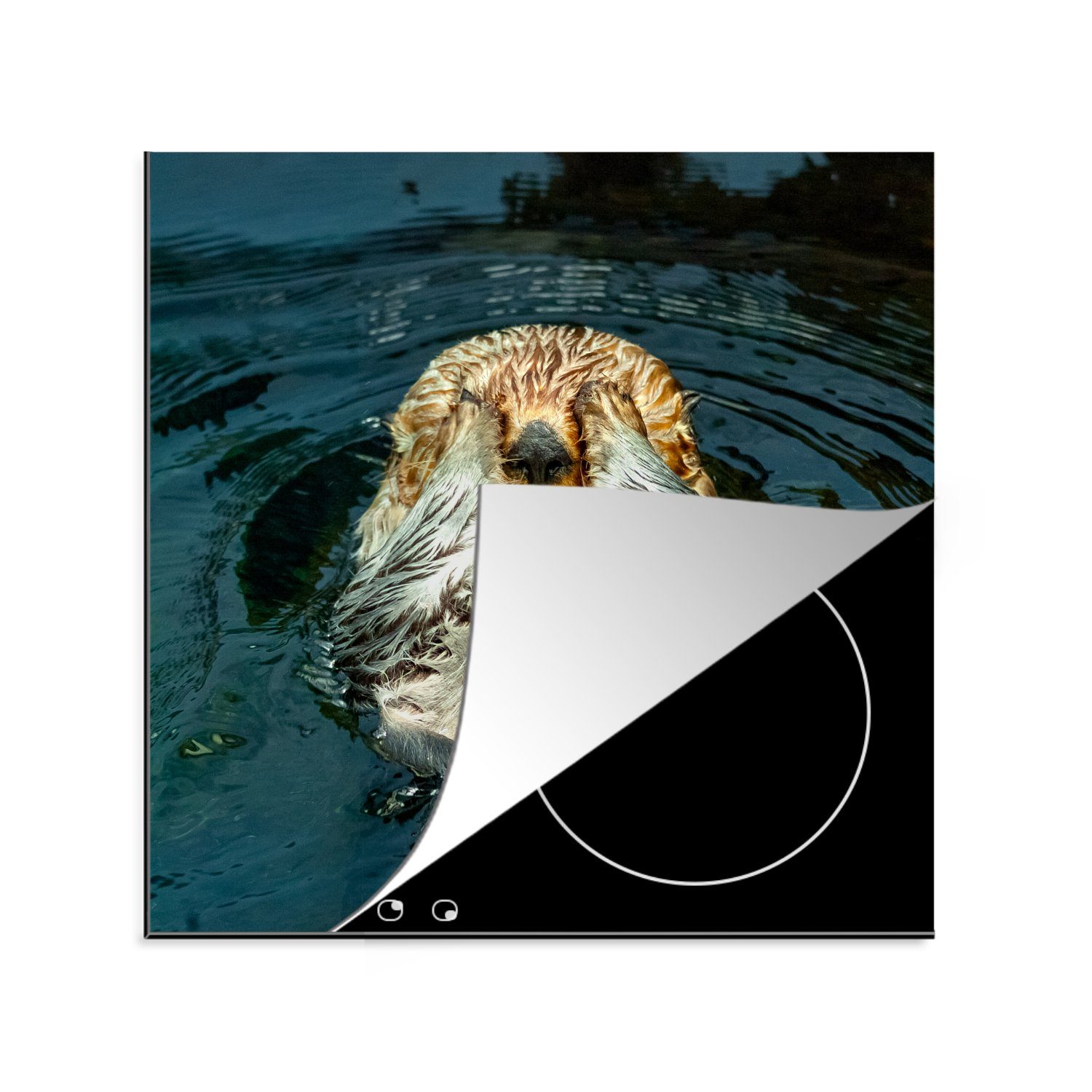 MuchoWow Herdblende-/Abdeckplatte Otter im (1 Ceranfeldabdeckung, Vinyl, cm, Wasser, 78x78 Arbeitsplatte tlg), für küche