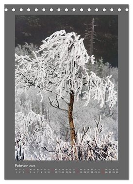 CALVENDO Wandkalender BÄUME (Tischkalender 2024 DIN A5 hoch), CALVENDO Monatskalender