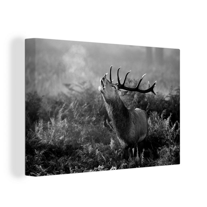 OneMillionCanvasses® Leinwandbild Röhrende Hirsche am Morgen - schwarz und weiß (1 St) Wandbild Leinwandbilder Aufhängefertig Wanddeko
