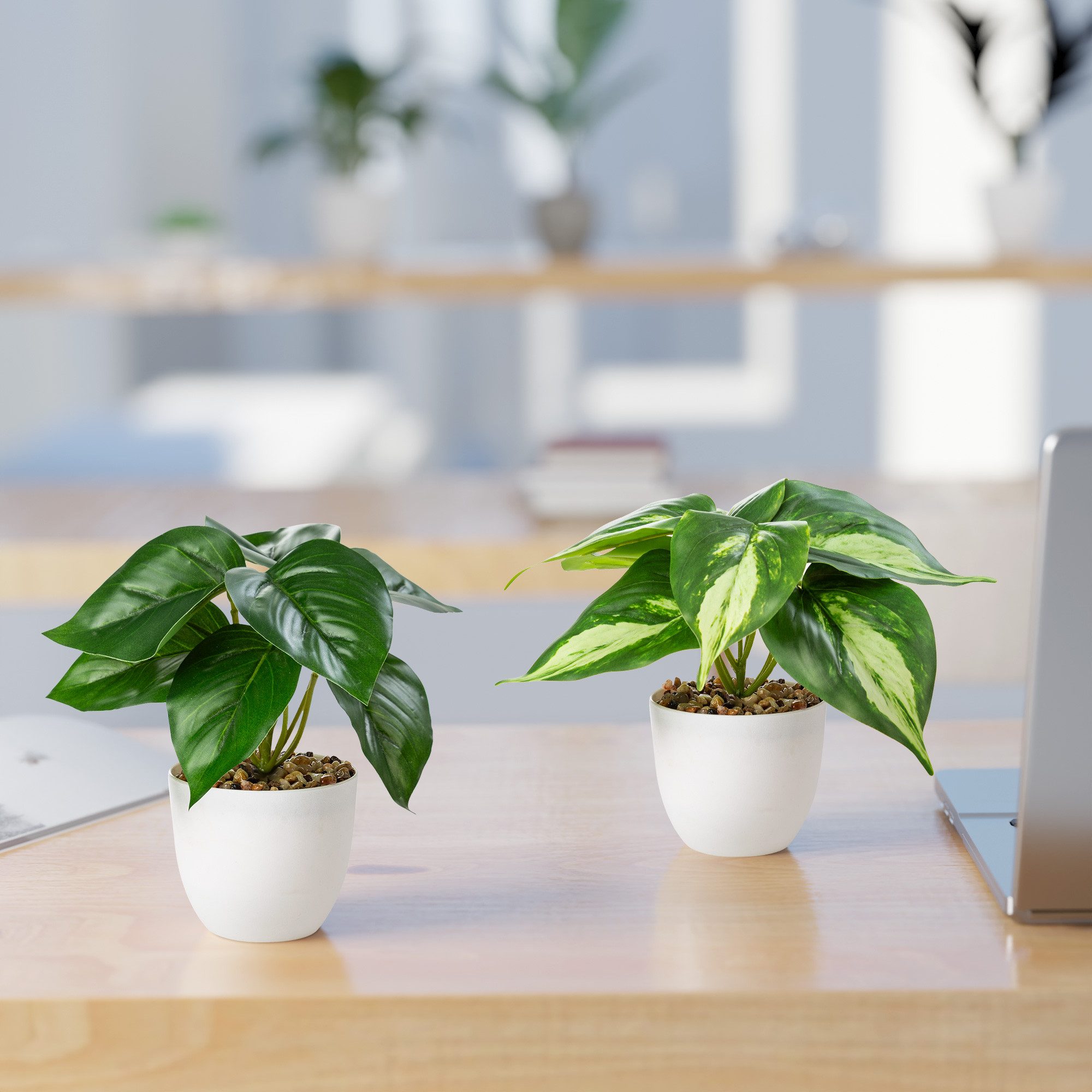 Künstliche Zimmerpflanze Kleine Kunstpflanzen & Künstliche günstig online kaufen