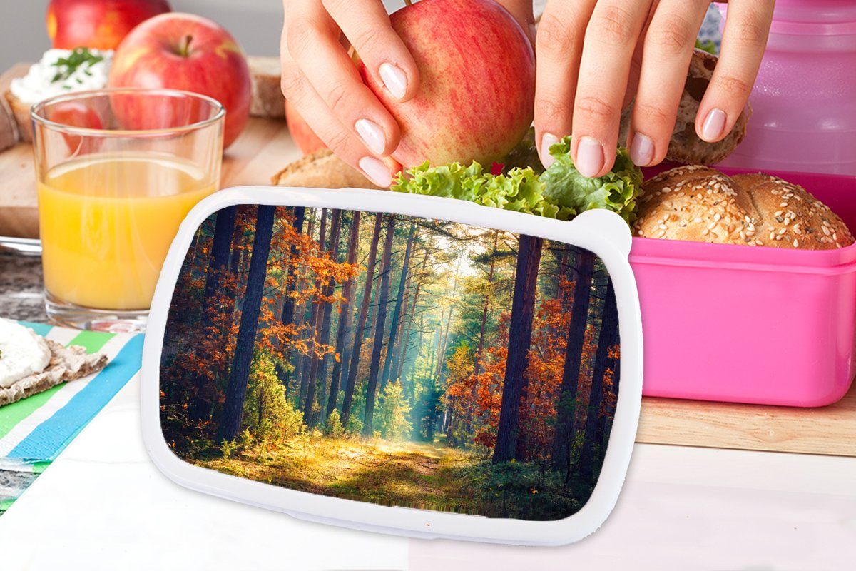 MuchoWow Mädchen, Kunststoff Kinder, - Brotbox Kunststoff, rosa Natur Sonne Herbst, - für Brotdose Lunchbox Erwachsene, - Wald (2-tlg), Snackbox,