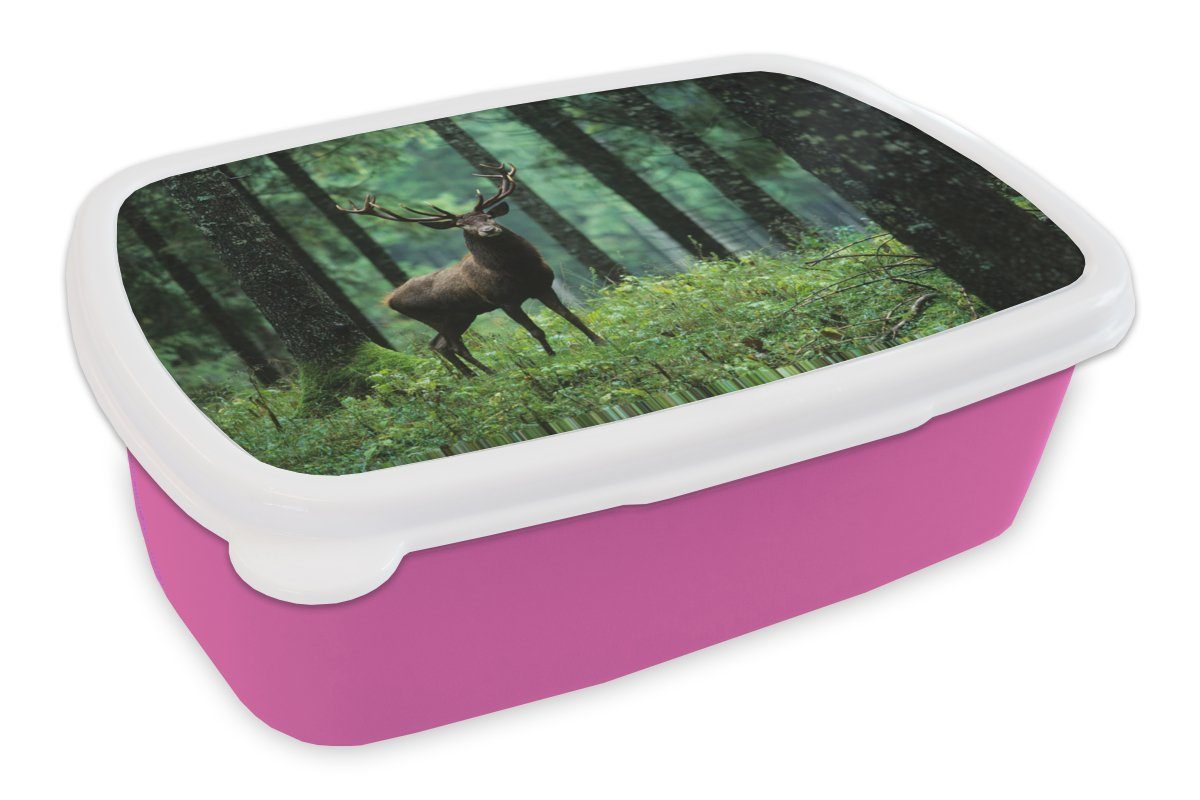 MuchoWow Lunchbox Hirsche - Wald - Bäume - Tiere - Natur, Kunststoff, (2-tlg), Brotbox für Erwachsene, Brotdose Kinder, Snackbox, Mädchen, Kunststoff rosa