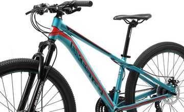 Bikestar Mountainbike, 21 Gang Shimano RD-TY300 Schaltwerk, Kettenschaltung, für Damen und Herren, Kettenschaltung