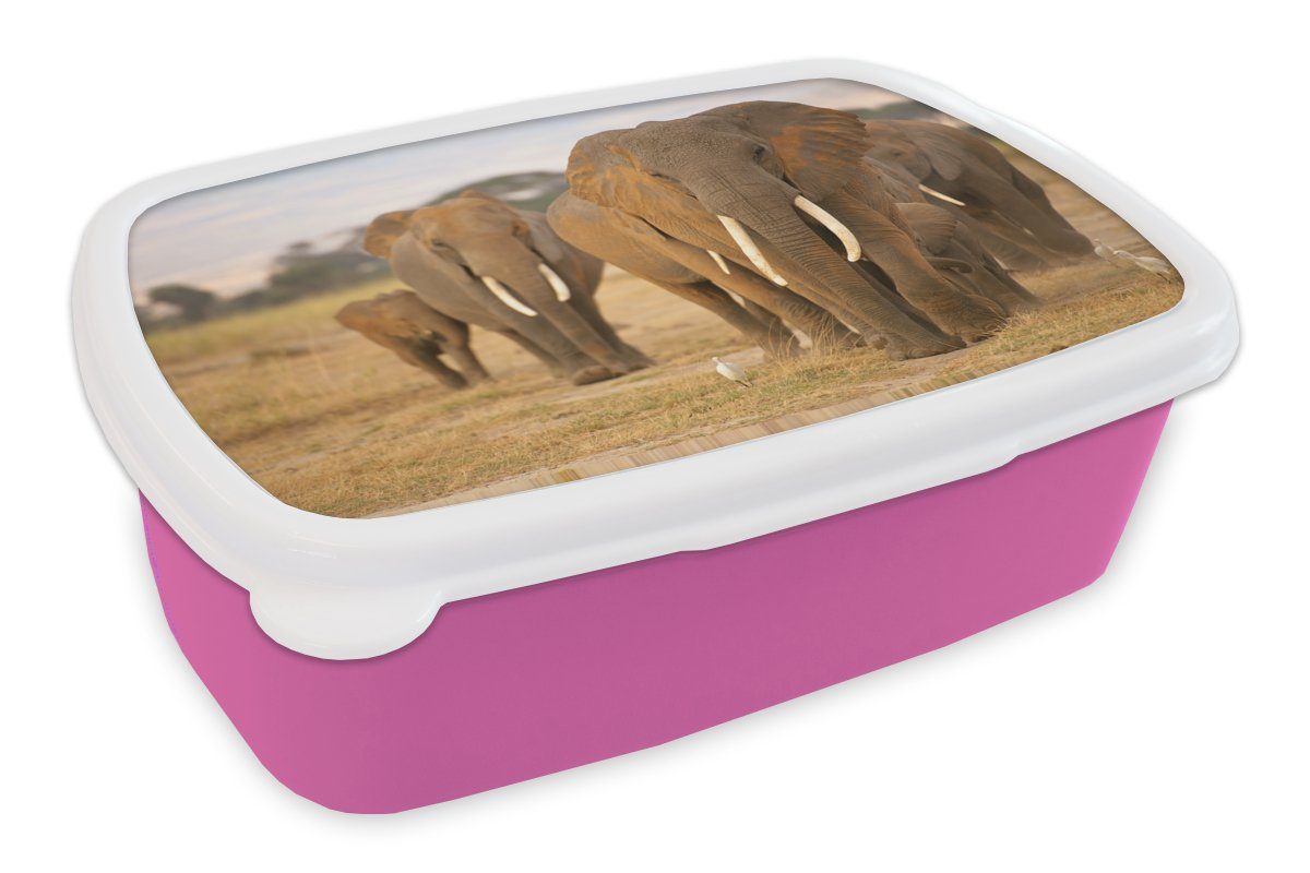 MuchoWow Lunchbox Familie der Elefanten, Kunststoff, (2-tlg), Brotbox für Erwachsene, Brotdose Kinder, Snackbox, Mädchen, Kunststoff rosa