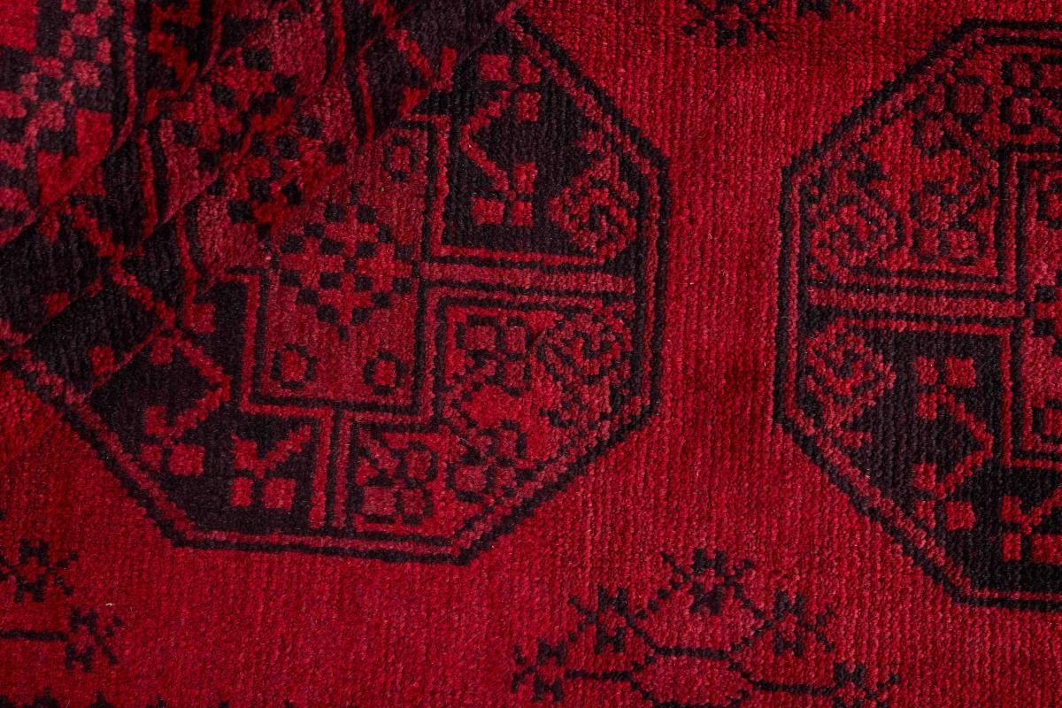Nain Trading, Orientteppich, Handgeknüpfter rechteckig, 198x291 Orientteppich Höhe: Akhche 6 Afghan mm