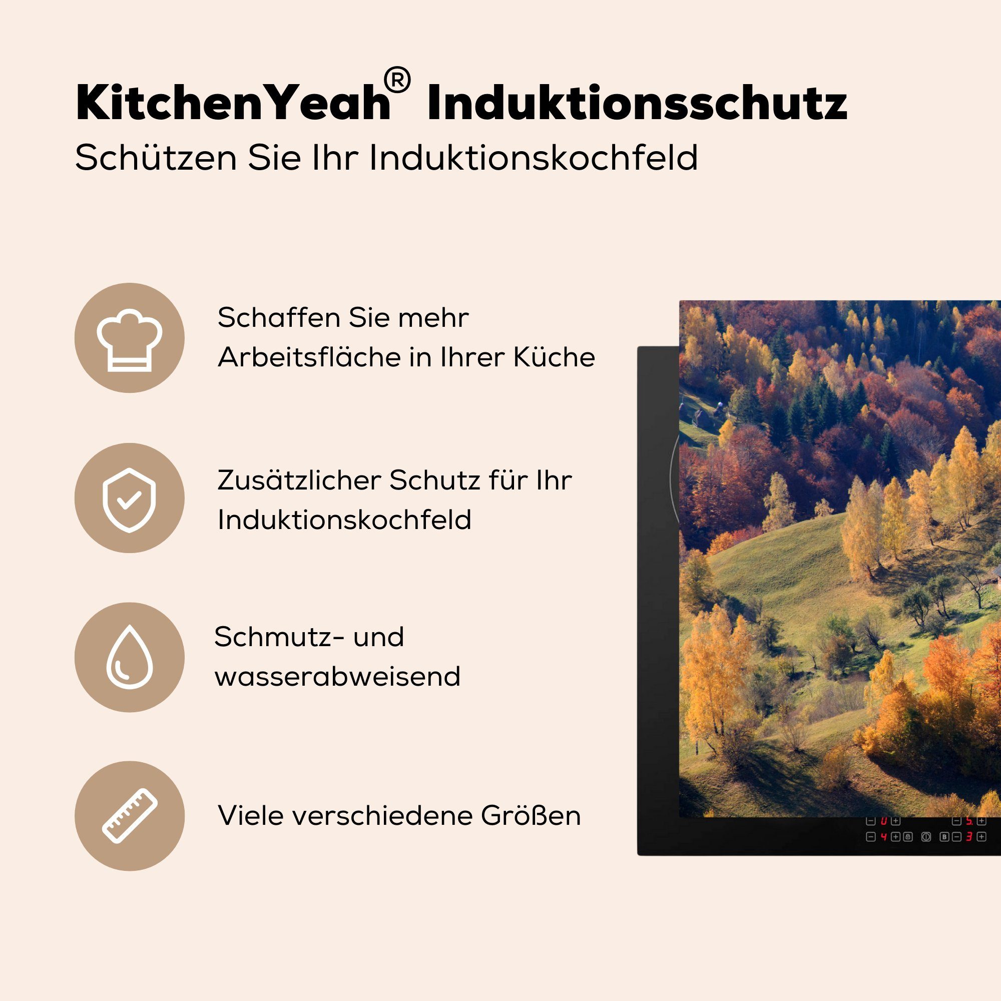 Piatra Nationalpark cm, (1 81x52 Herbstlich für MuchoWow im Ceranfeldabdeckung Induktionskochfeld gefärbte die Herdblende-/Abdeckplatte Rumänien, küche, tlg), Bäume Craiului Schutz Vinyl, in