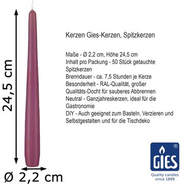 Gies Kerzen Spitzkerze 100 (2x50Stk) Gies Premium Spitzkerzen, 24,5 x 2,35 cm, altrosa