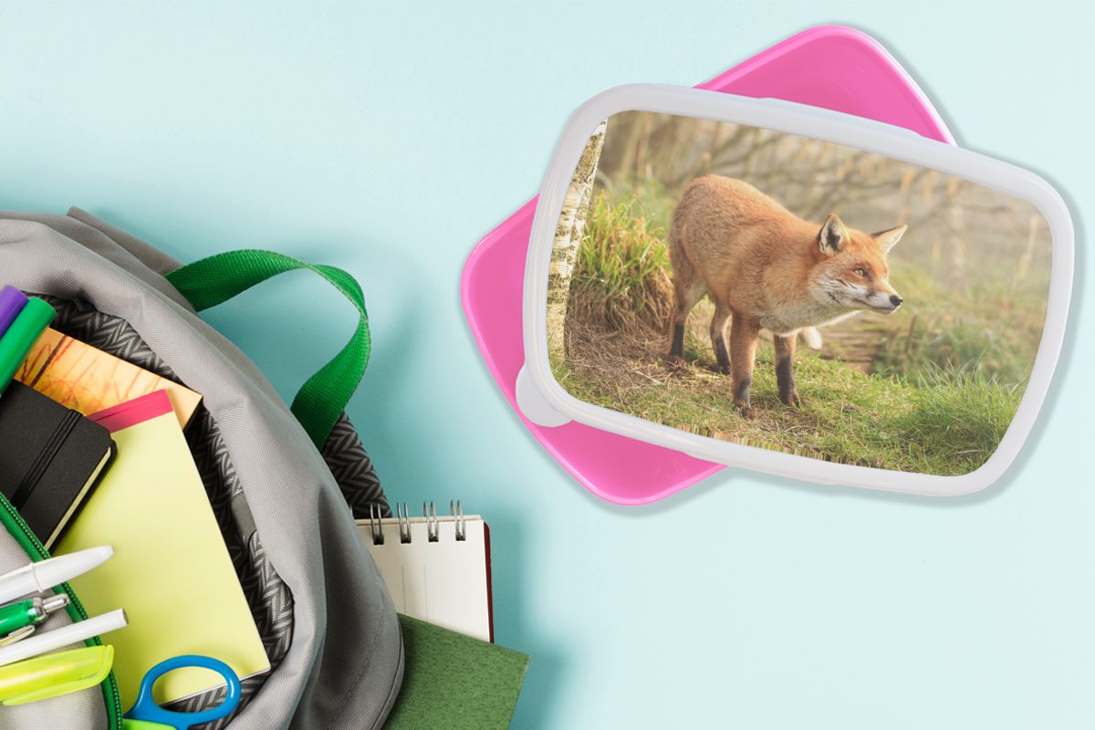 MuchoWow Lunchbox - Fuchs - Brotdose Licht, Kunststoff, Snackbox, (2-tlg), Erwachsene, Kunststoff Mädchen, für Wald rosa Kinder, Brotbox