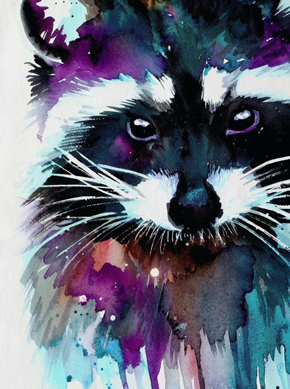 style3 T-Shirt Aquarell Waschbär raccoon zoo günstig online kaufen