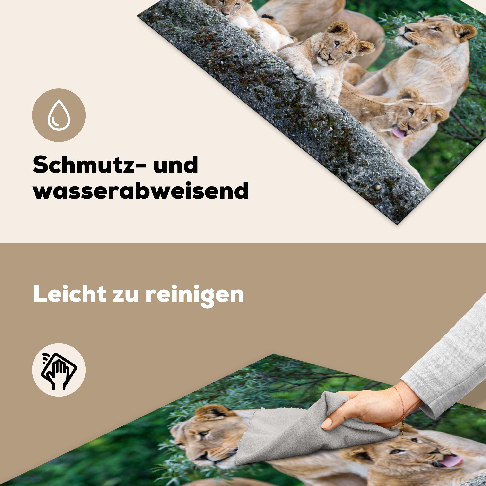 81x52 Ceranfeldabdeckung Herdblende-/Abdeckplatte - (1 Induktionskochfeld cm, Vinyl, Tiere Jungtiere, MuchoWow Löwen küche, die für tlg), Schutz -